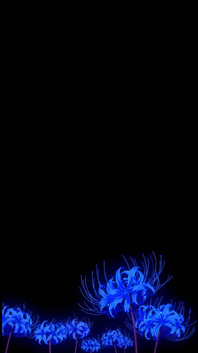 Blue Spider Lilly Wallpaper