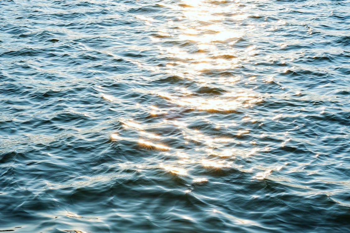 Sea Surface Texture · Free