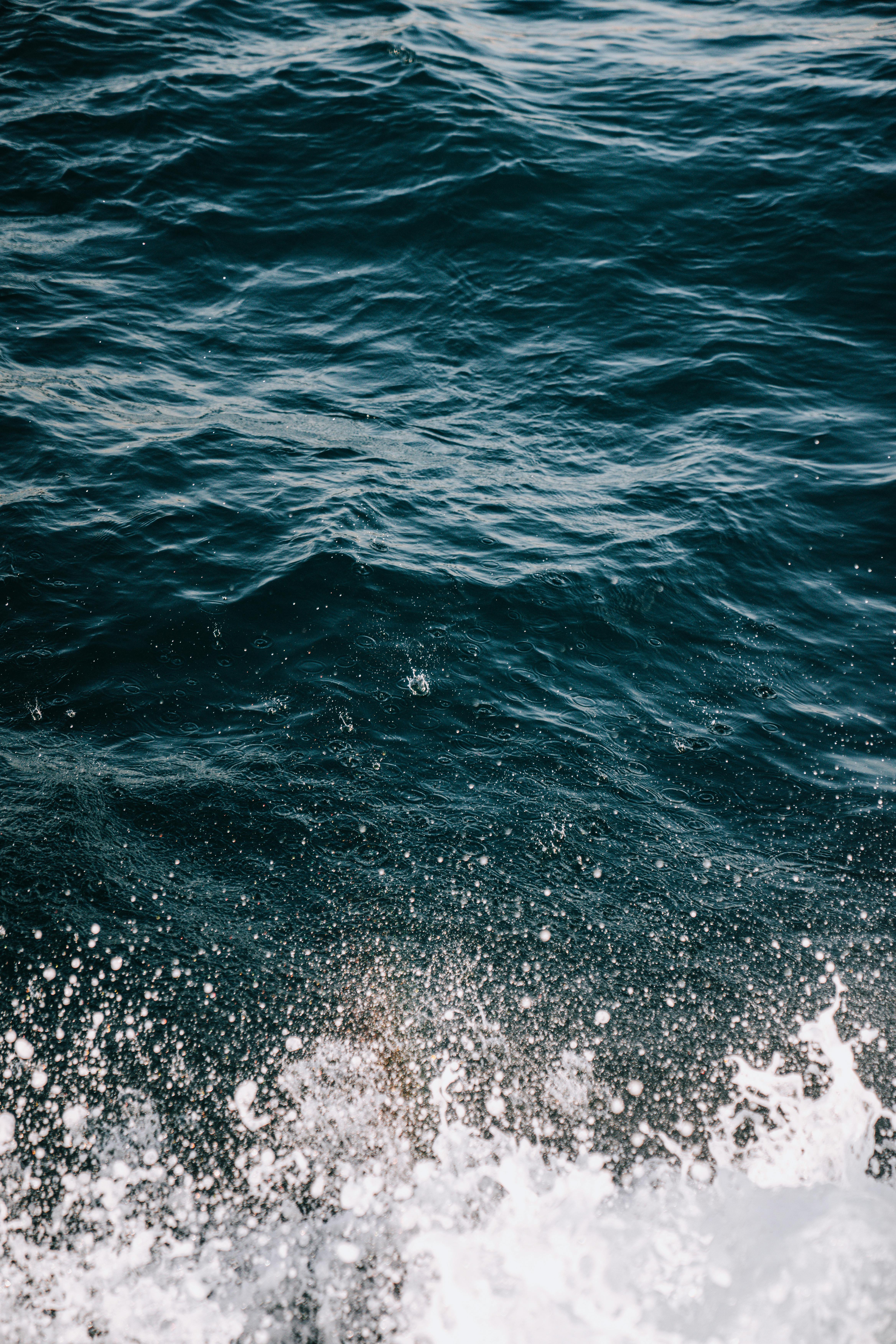 Close up of Sea Surface · Free