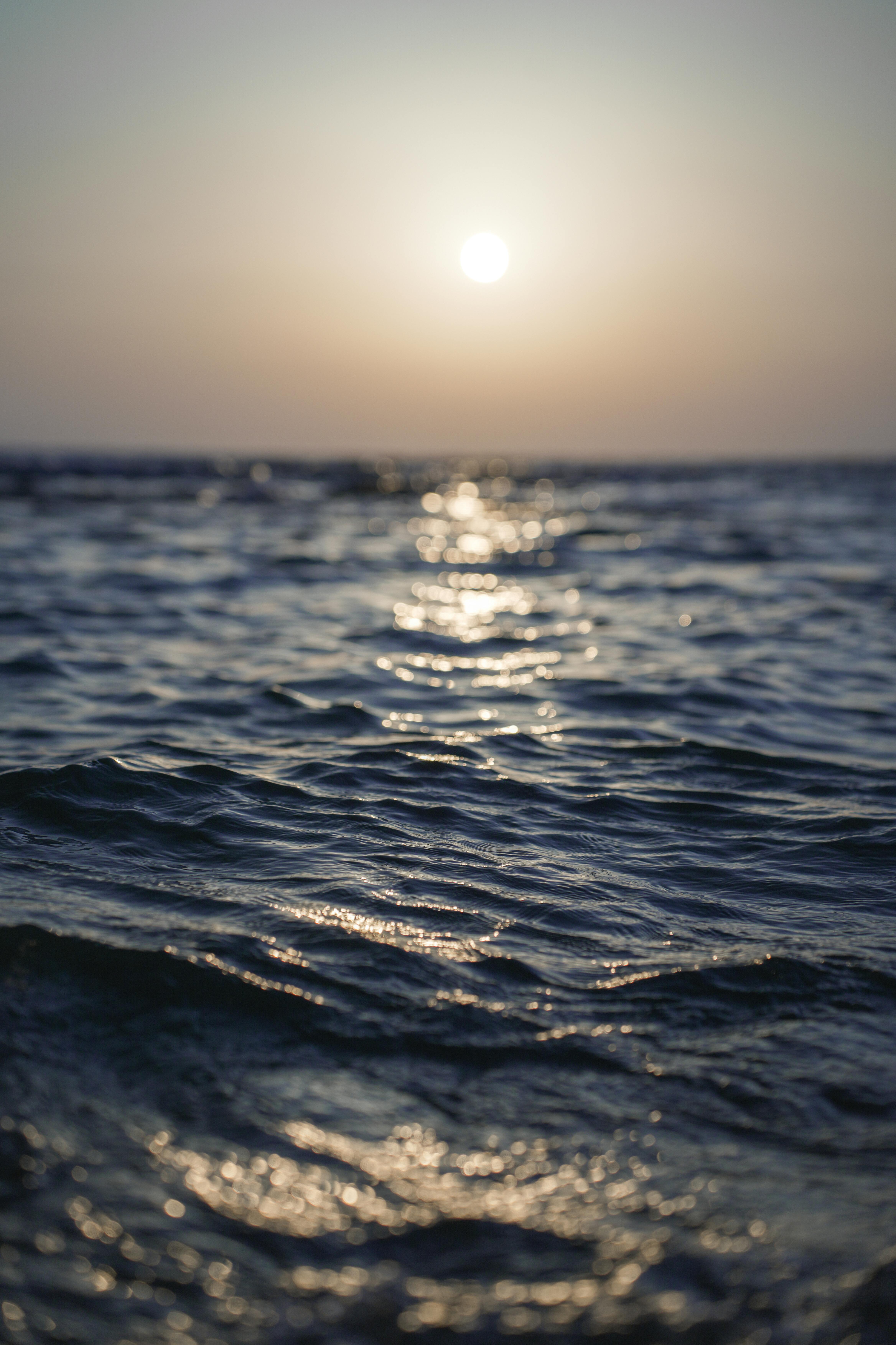 Rough Sea Water Surface · Free