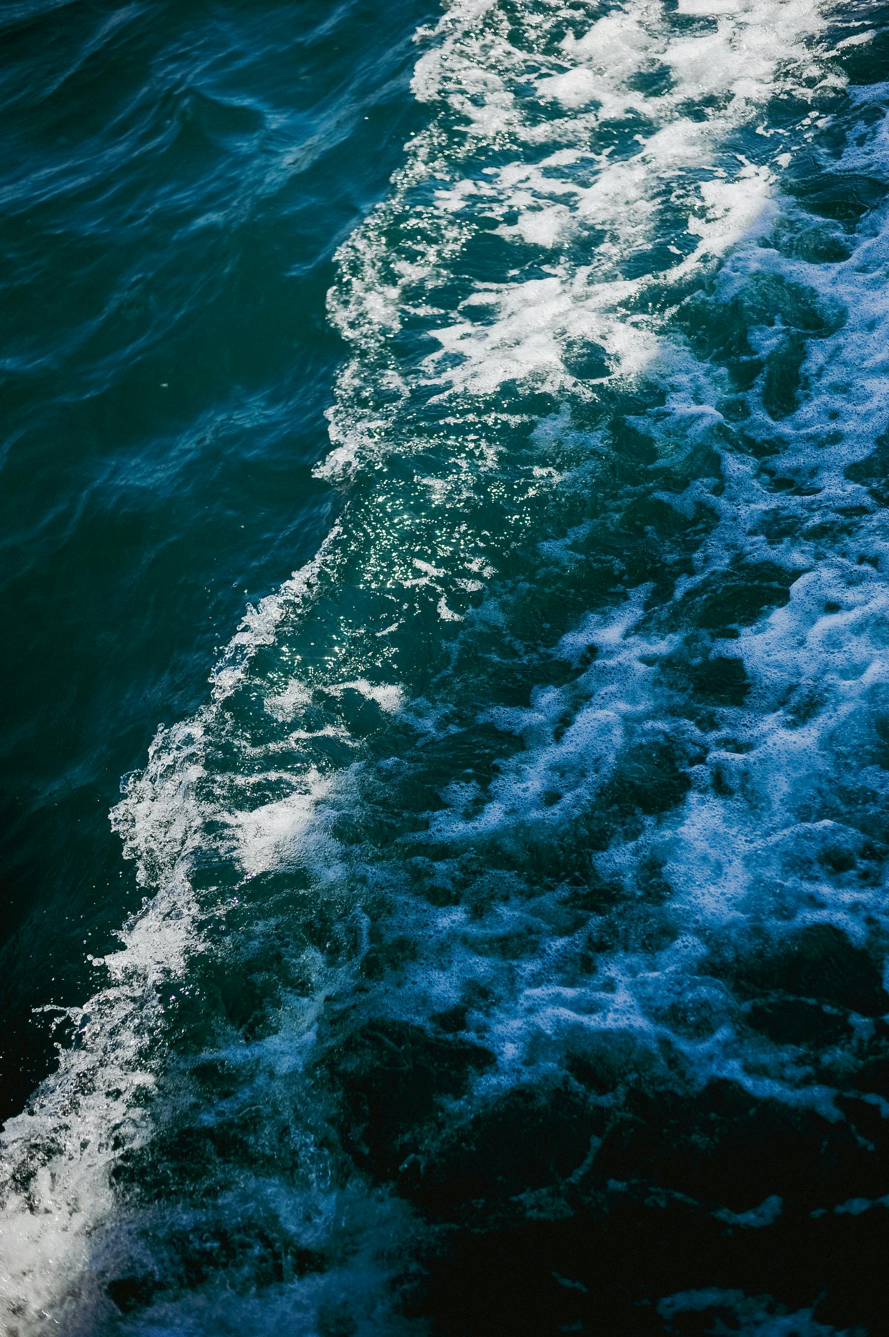 Close Up Of Foam On The Sea Surface · Free