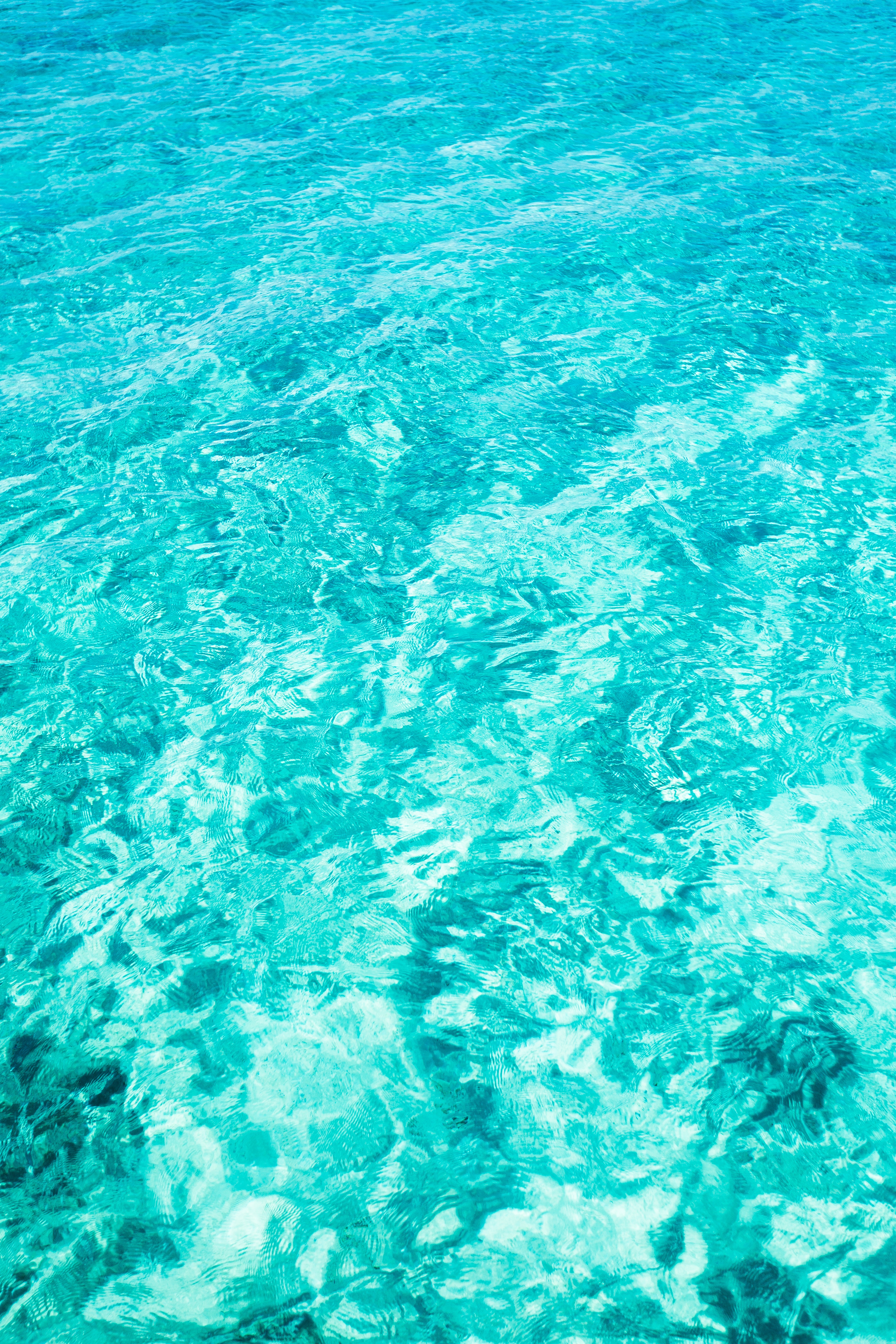 Free Image, sea, water, ocean, light, abstract, sky, texture, wet, clear, underwater, pattern, swimming pool, clean, blue, coral reef, surface, background, aqua, turquoise, design, bright, azure, wallpaper, shining, wind wave, marine