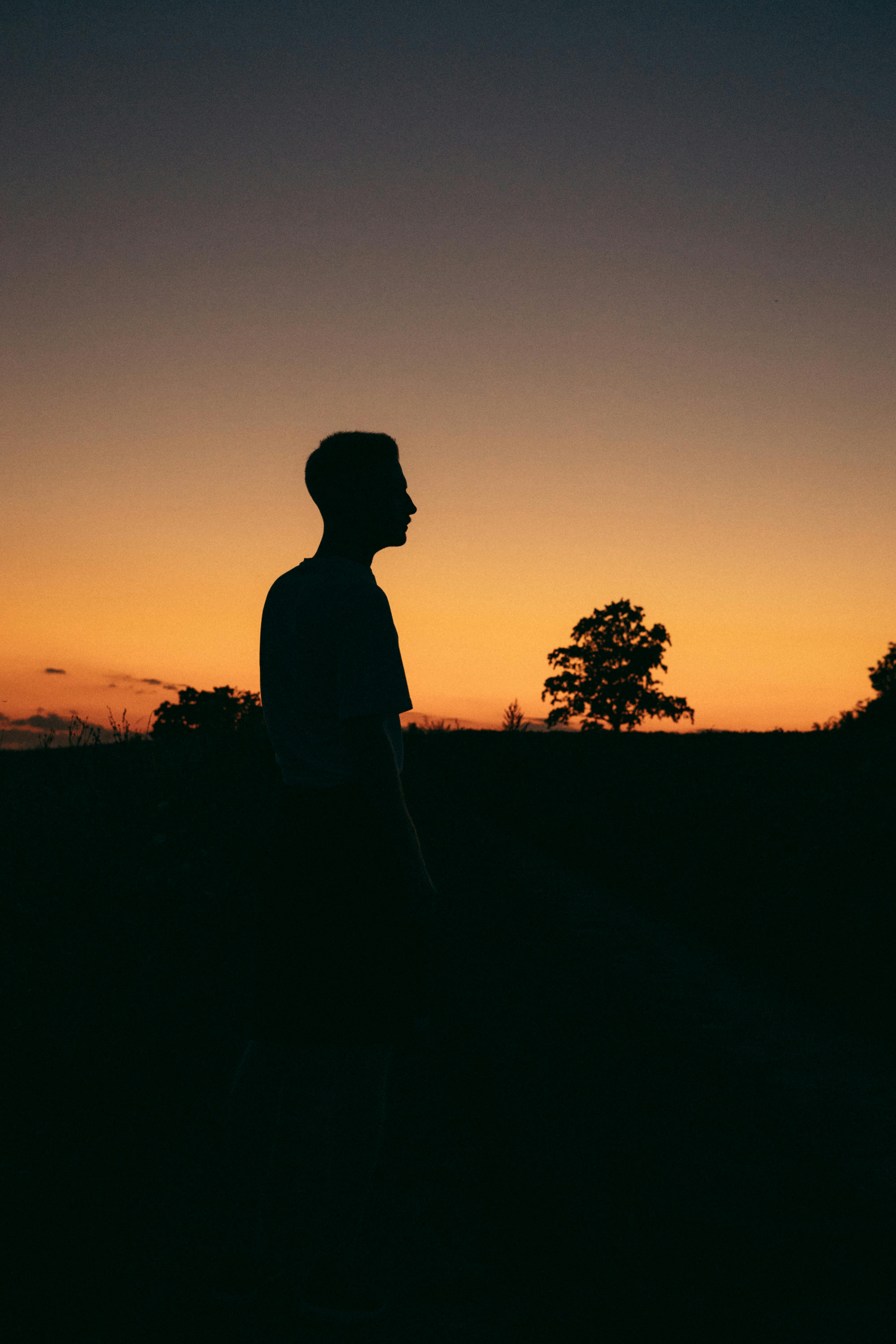 Silhouette of Tree and Man at Sunset · Free