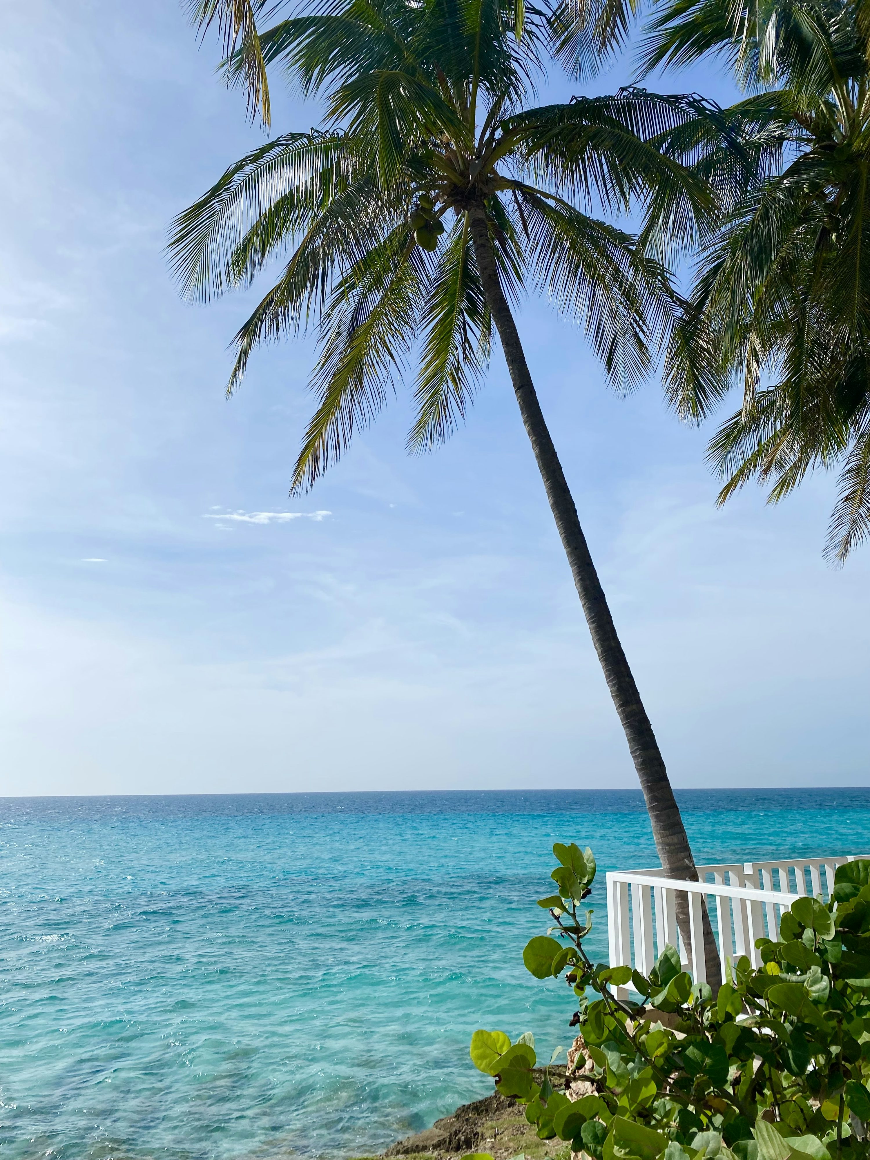Varadero Cuba Picture. Download Free Image