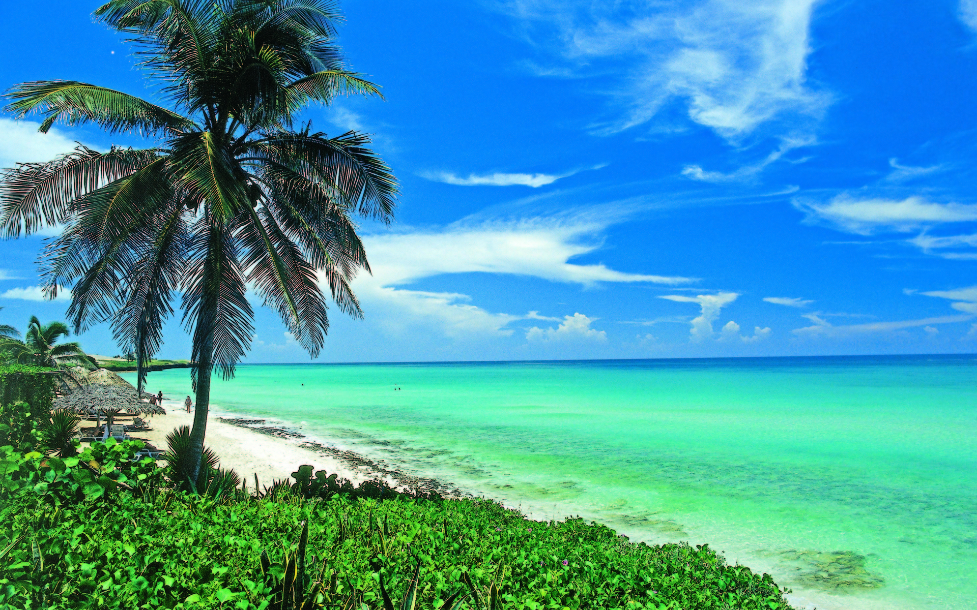 Download Horizon Turquoise Sea Ocean Palm Tree Cuba Earth Photography Beach HD Wallpaper