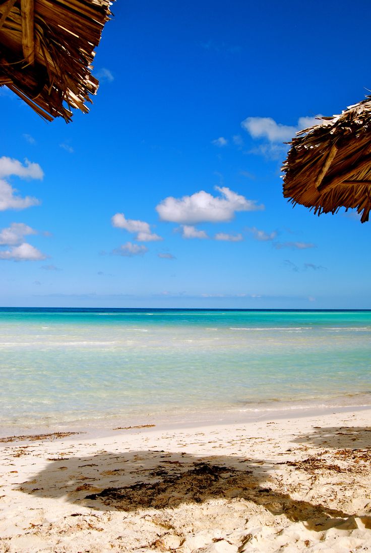 Cuba coco. Pure paradise