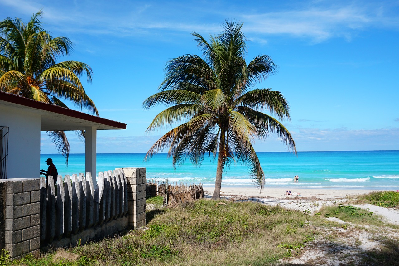 Cuba, varadero, beach, caribbean, palm trees