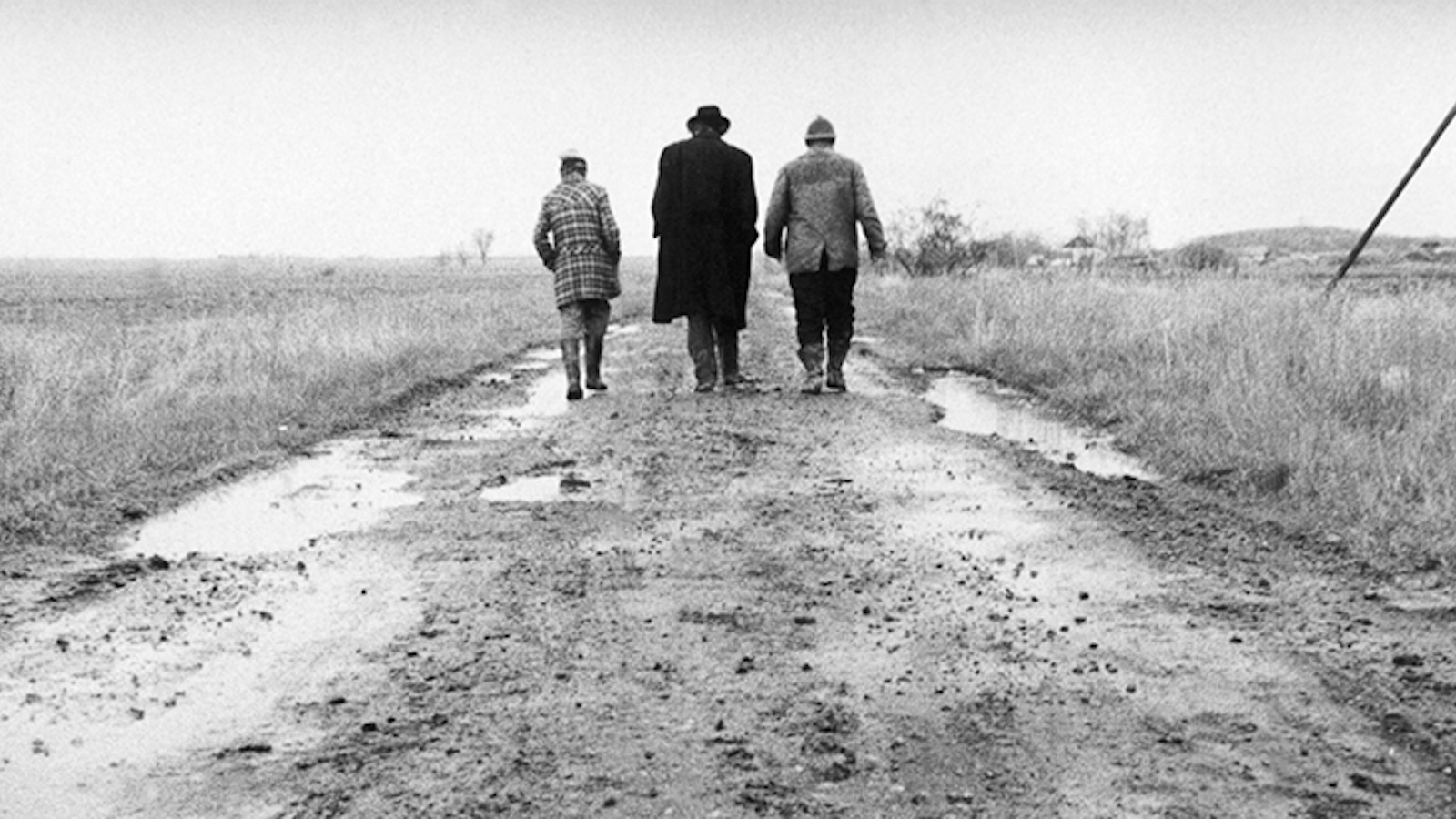Will Heaven Fall Upon Us? Béla Tarr Retrospective Ultimate Picture Palace