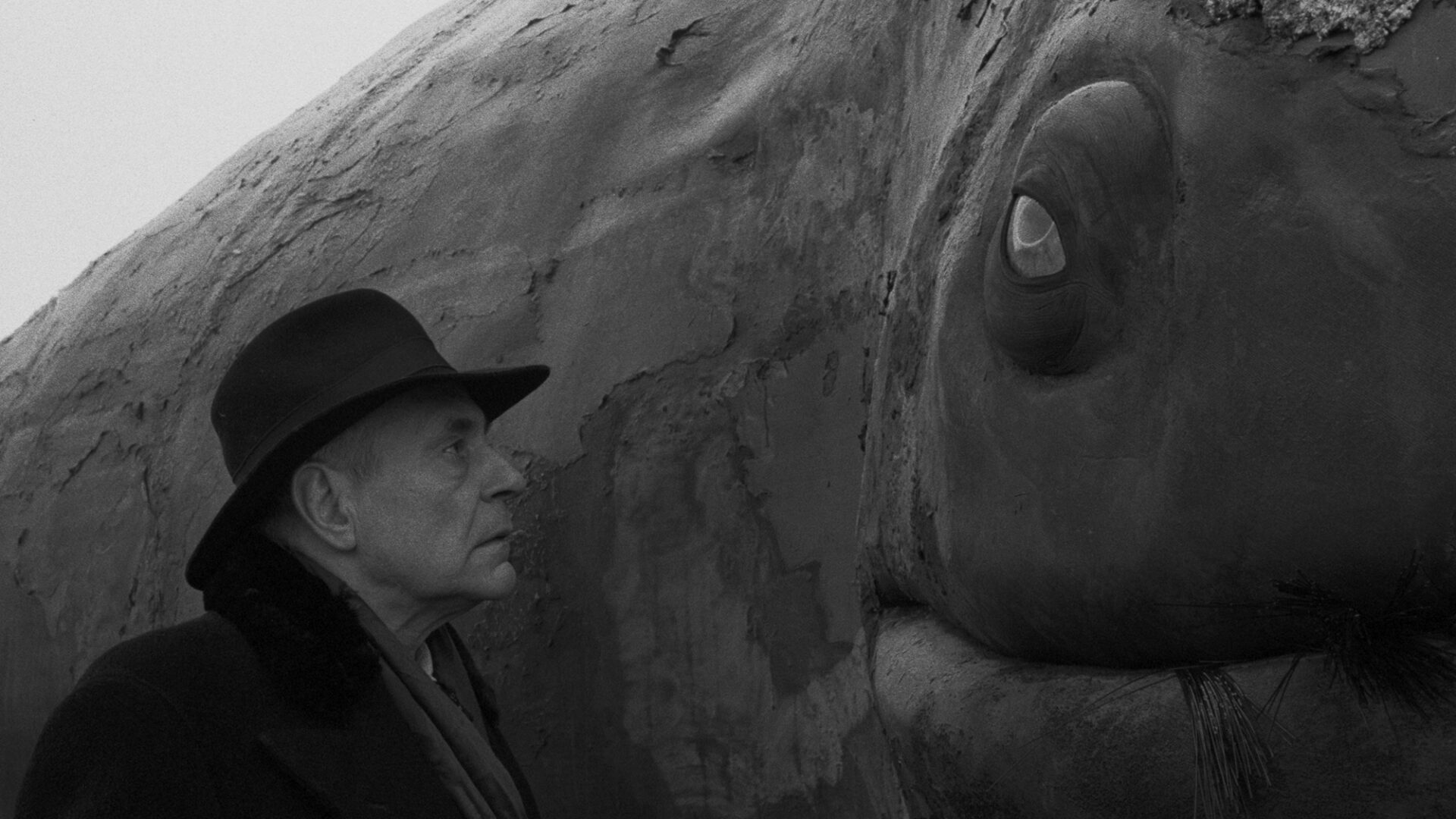 The Cinematheque / I See a Darkness: Béla Tarr & György Fehér