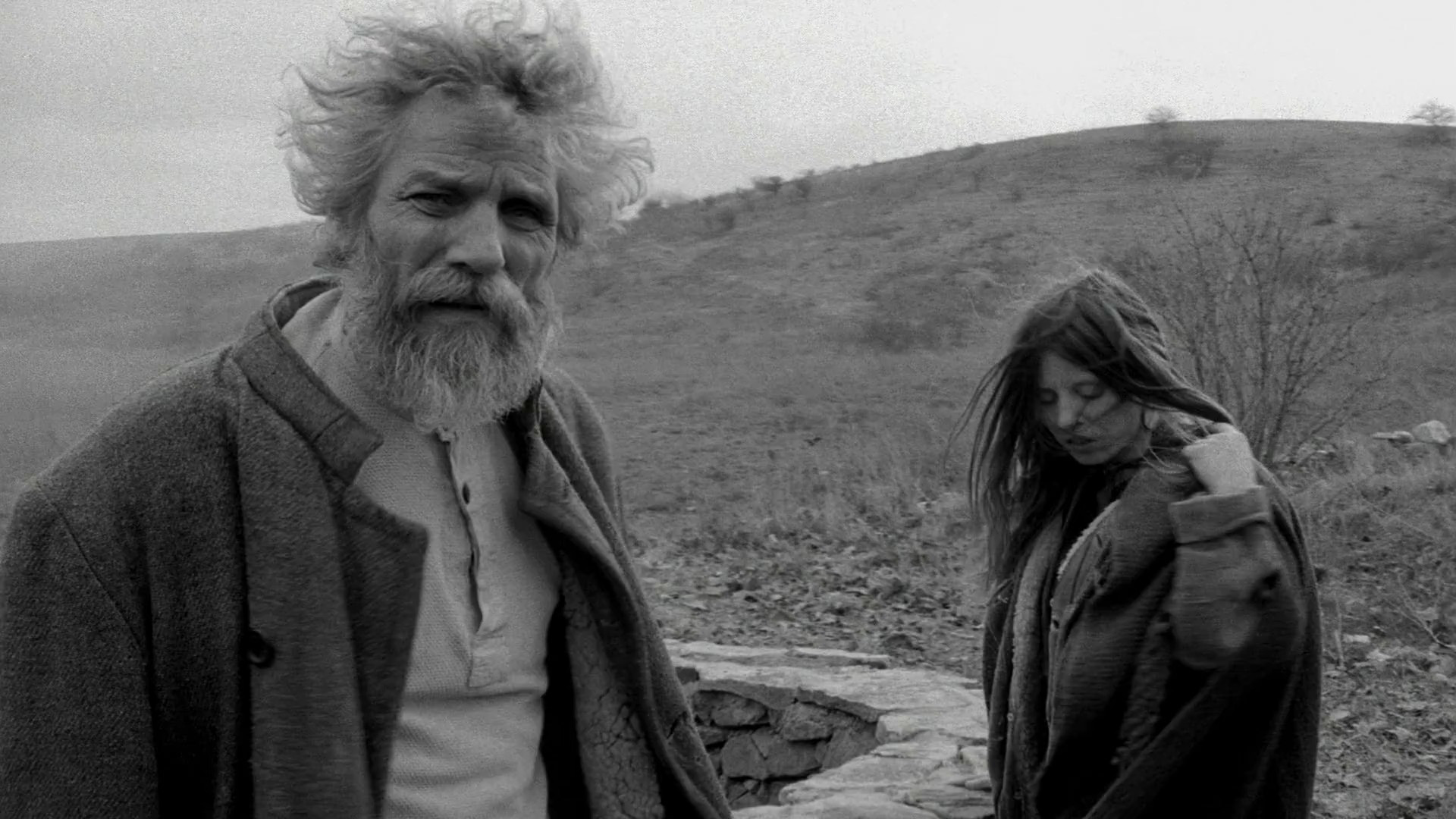 Agnes Hranitzky, Béla Tarr. A Torinó Ió. 2011