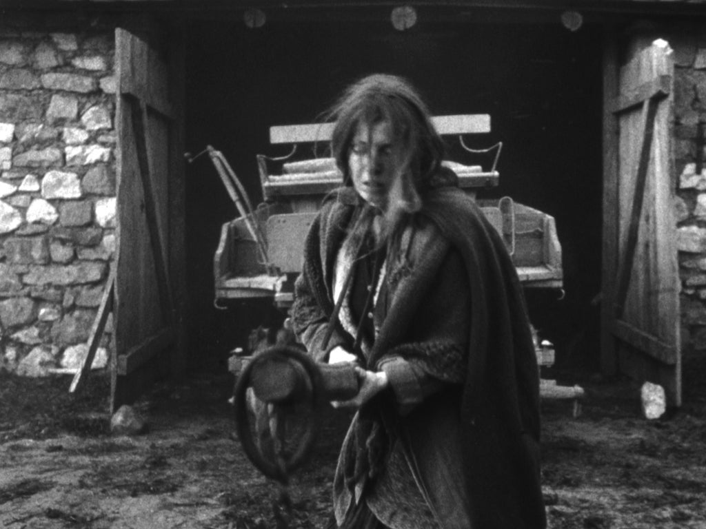 The Turin Horse, Bela Tarr, 146 mins