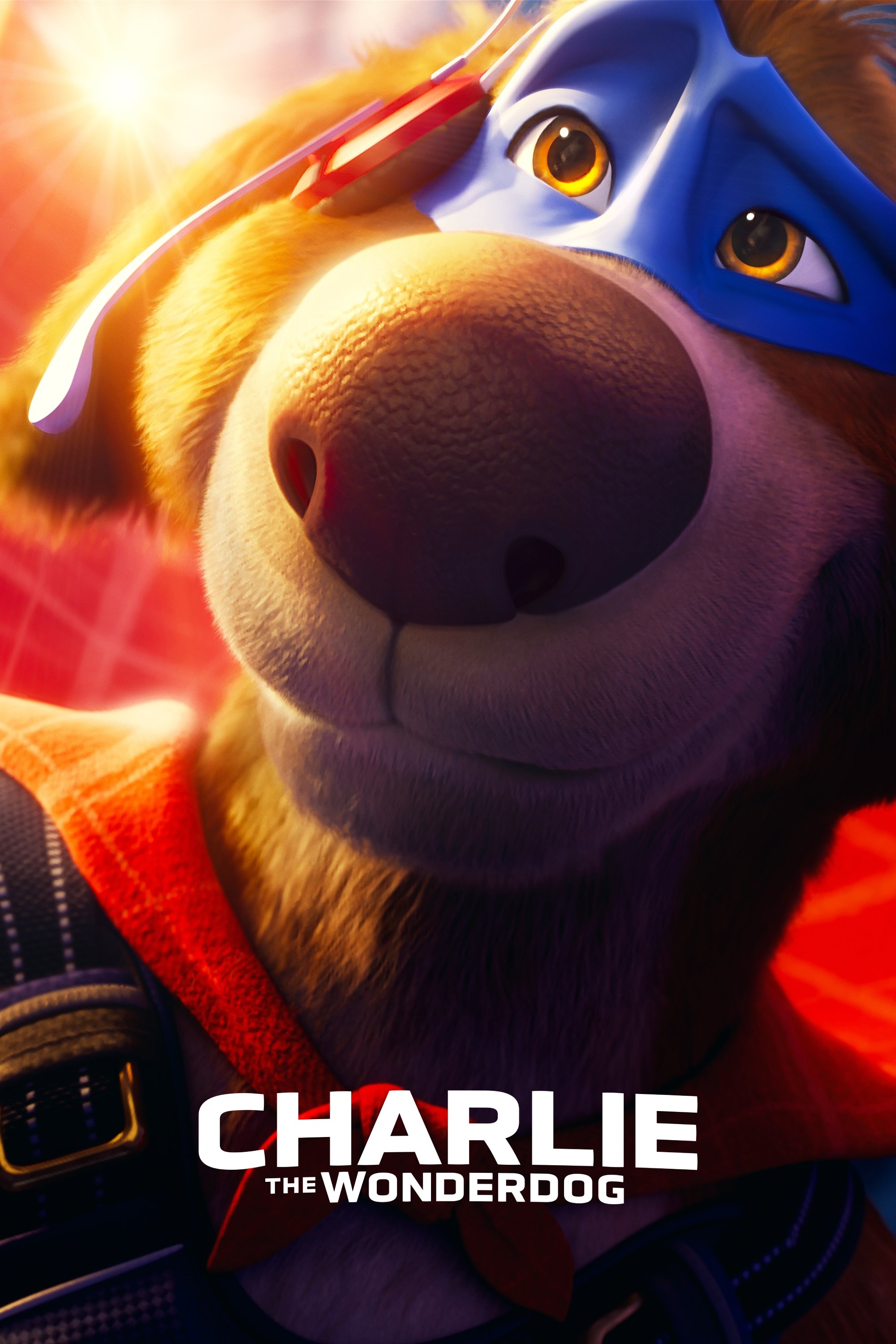 Charlie the Wonderdog, covers, wallpaper