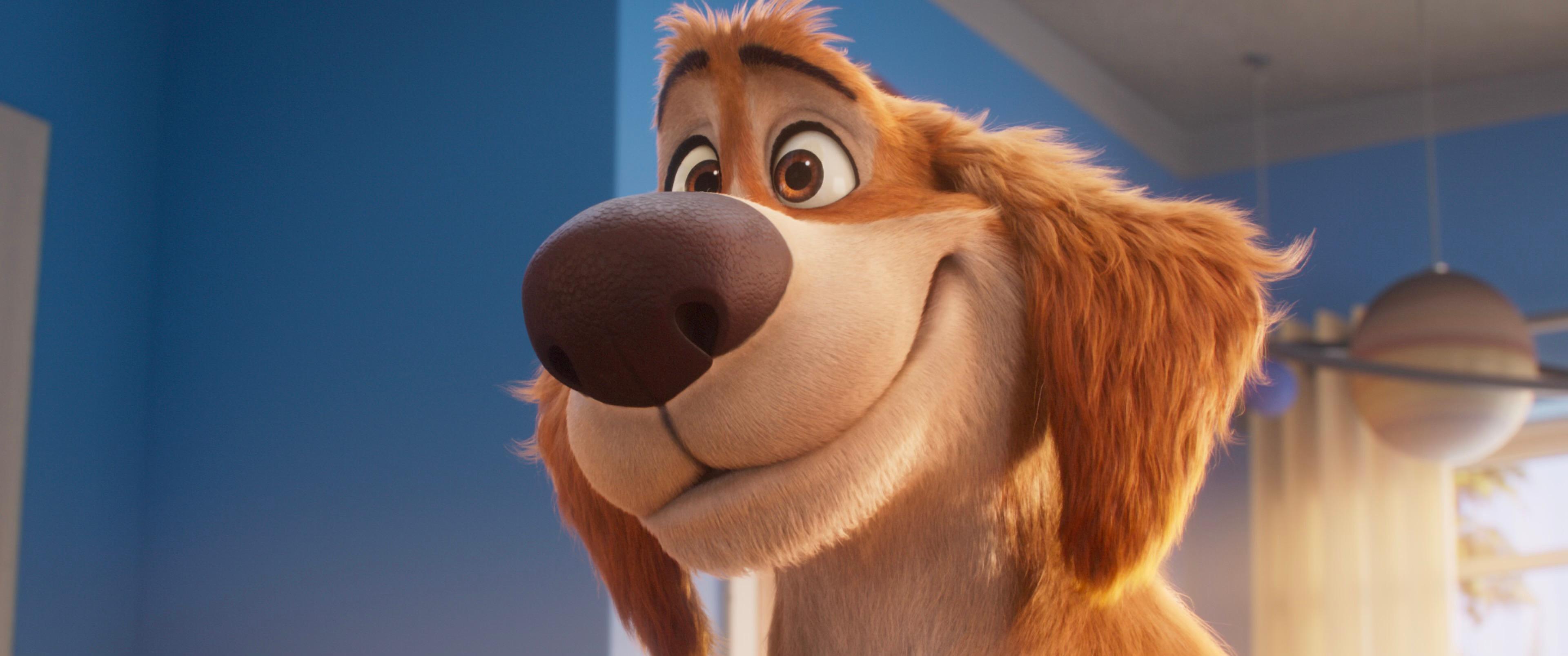 Charlie the Wonderdog