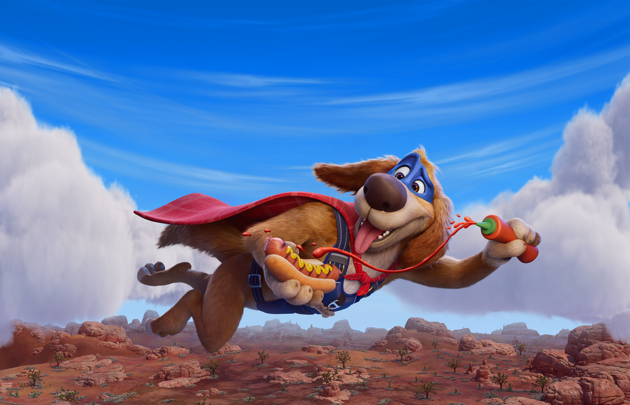 Charlie the Wonder Dog