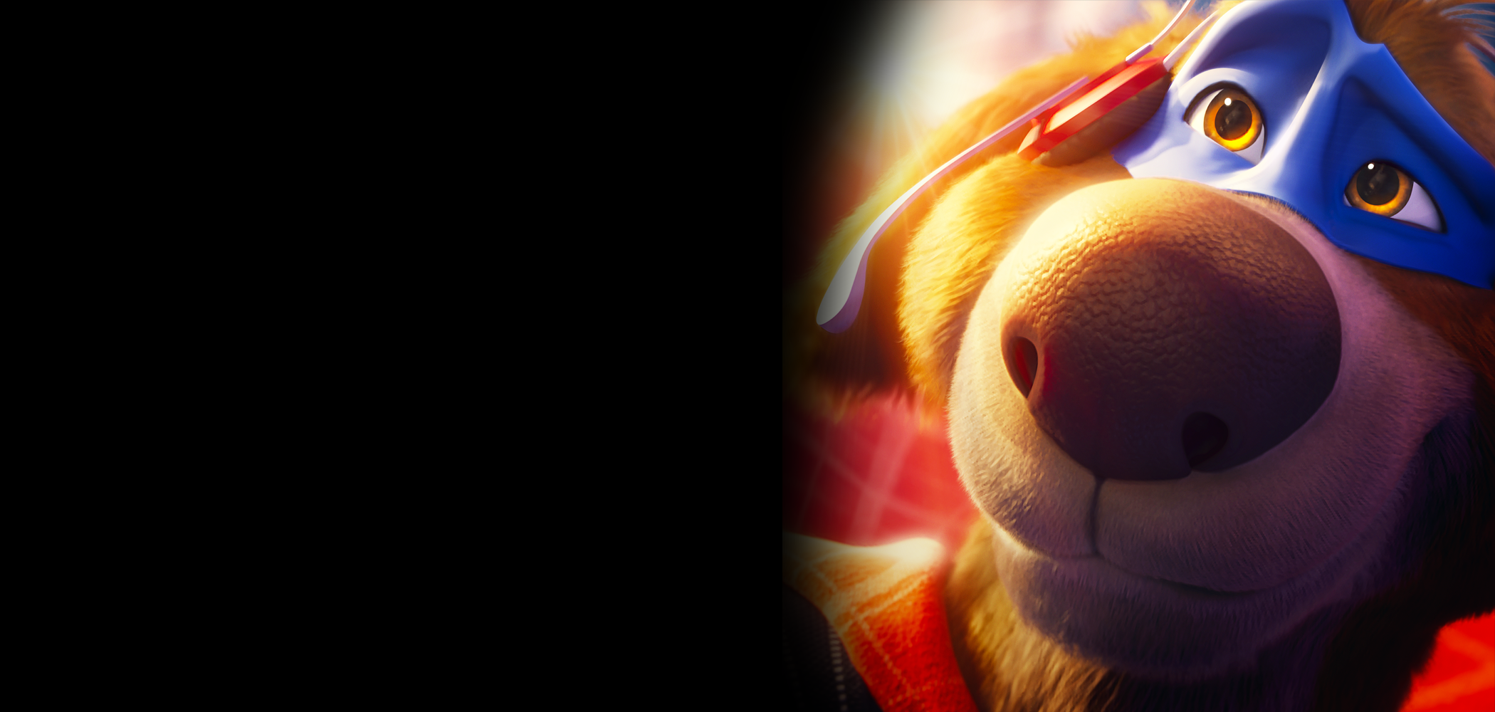 Charlie the Wonder Dog