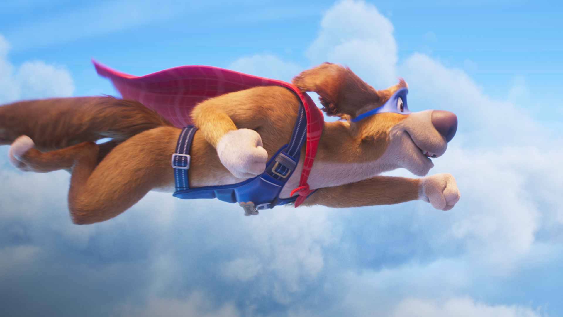 Charlie the Wonderdog: 1