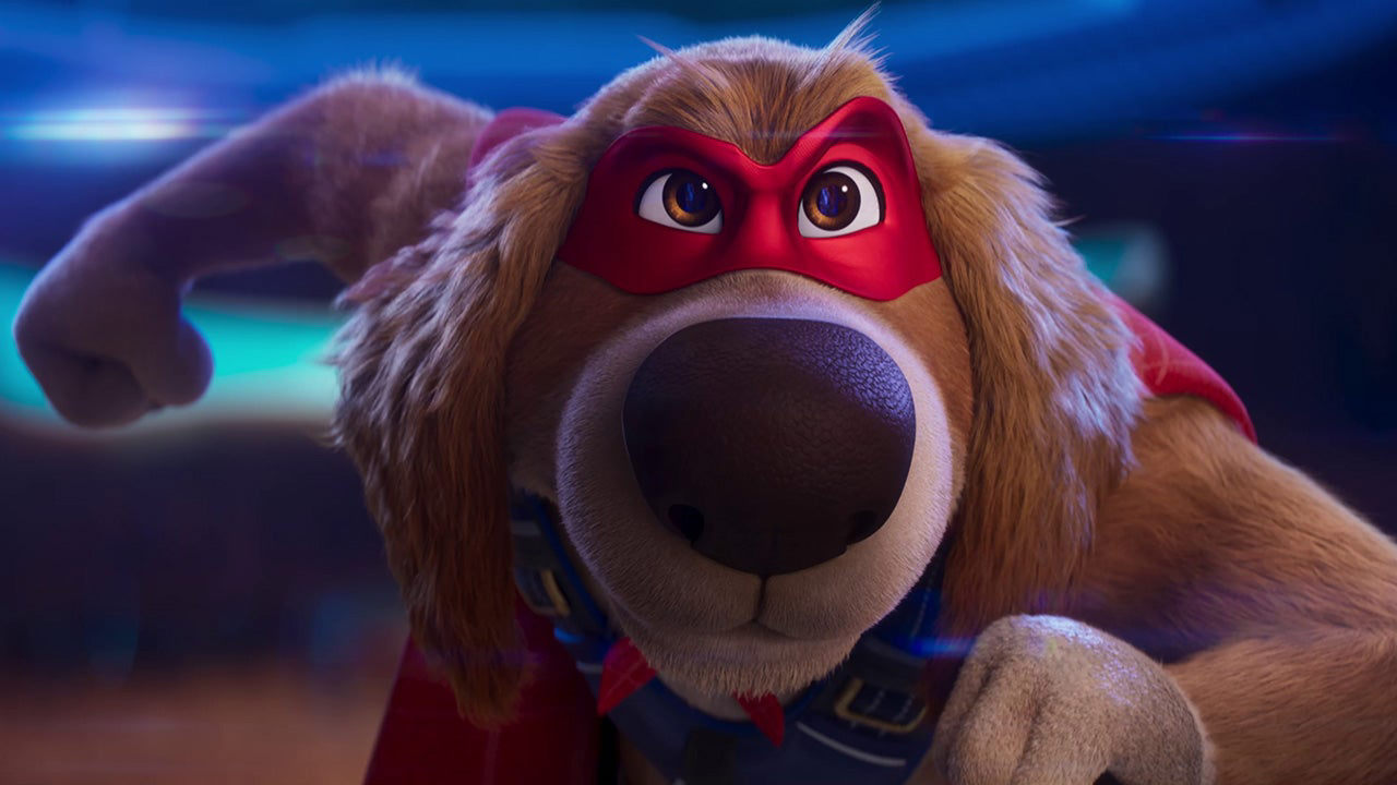 Charlie the Wonderdog