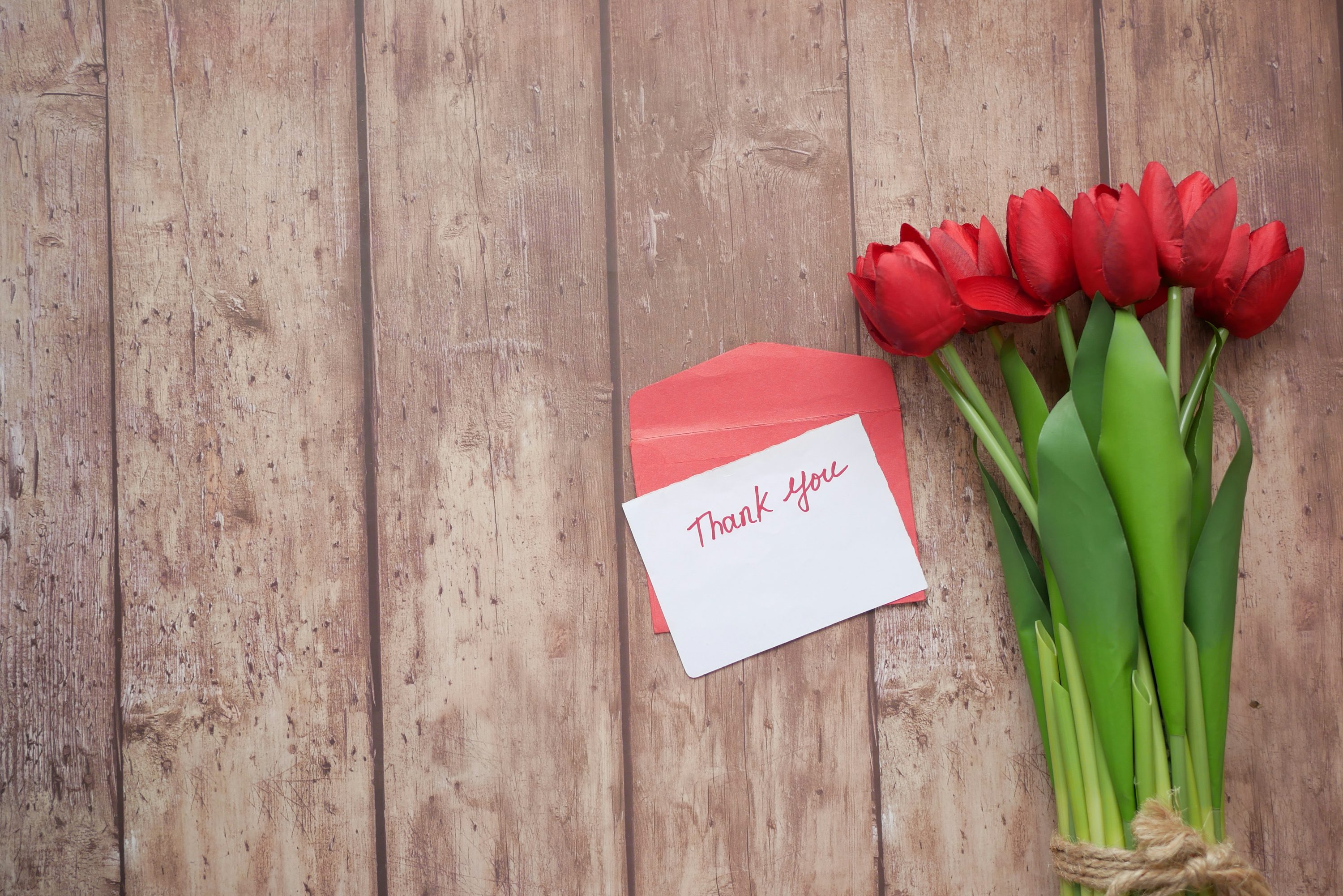 Thank You Flowers Picture. Download Free Image