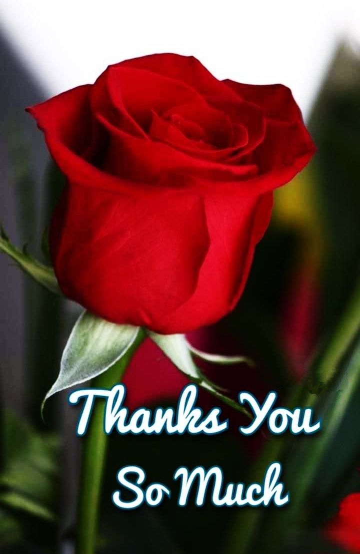 Thank You Image, Photo, Pics, Picture, Wallpaper Mixing Image