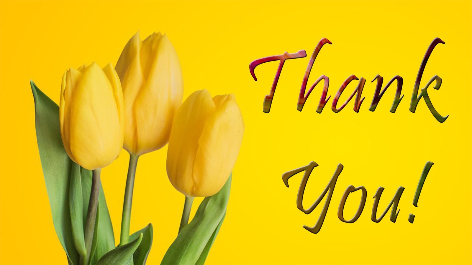Beautiful Thank You Image Free Clip Art A Very Beautiful Thank You. Free For Everyone ECards, Greeting Cards Beautiful Thank You Image Free Beautiful Thank You Image Free With Quotes