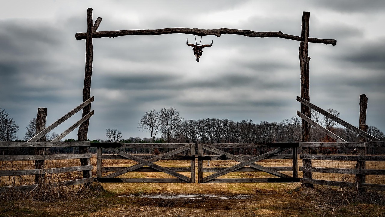 Texas Ranch Entrance
