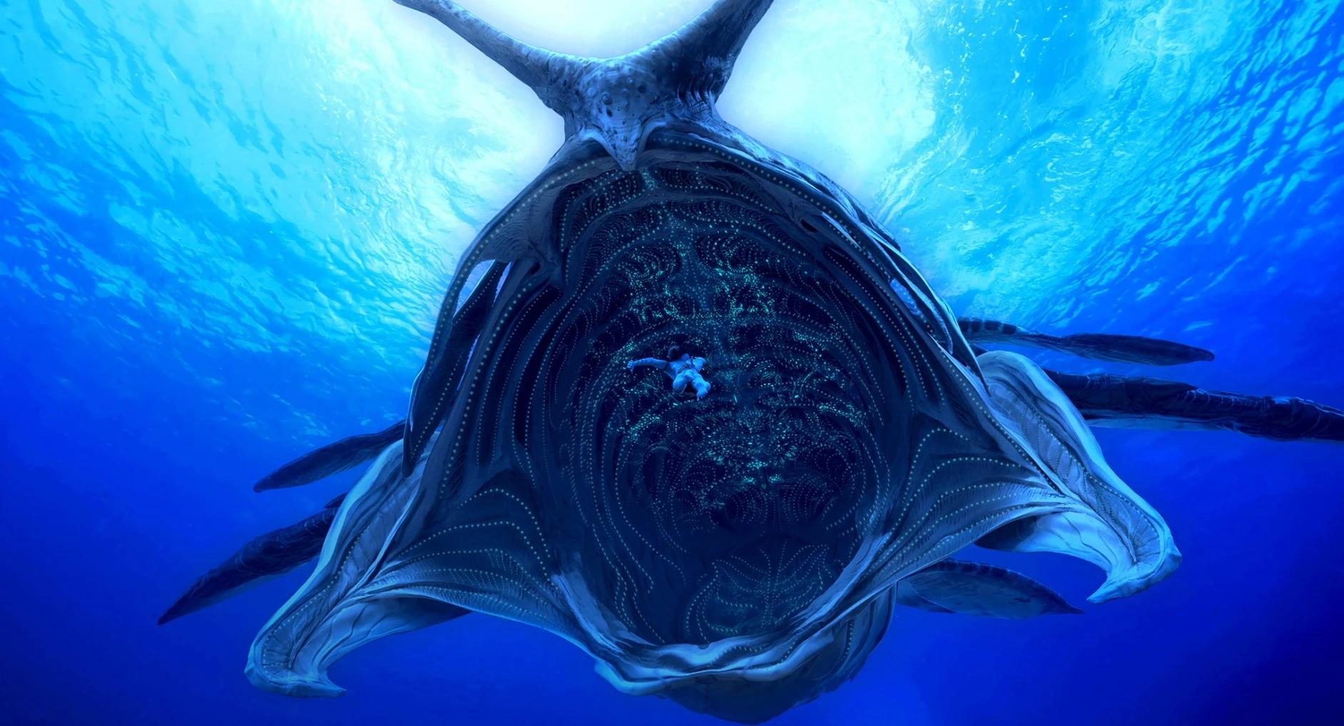 How does Tulkun tsaheylu work?