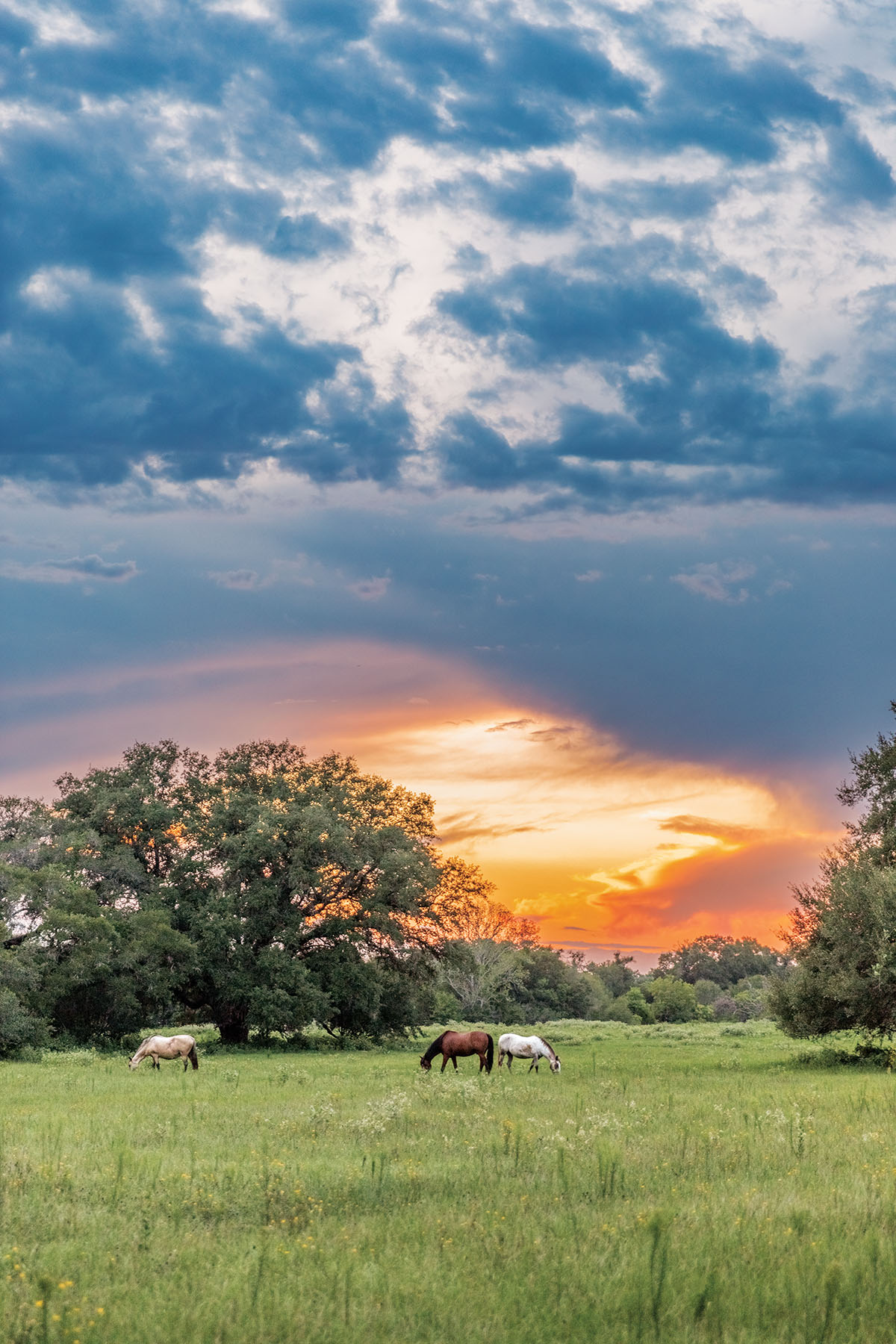 Get a Taste of the Cowboy Life at a Texas Dude Ranch