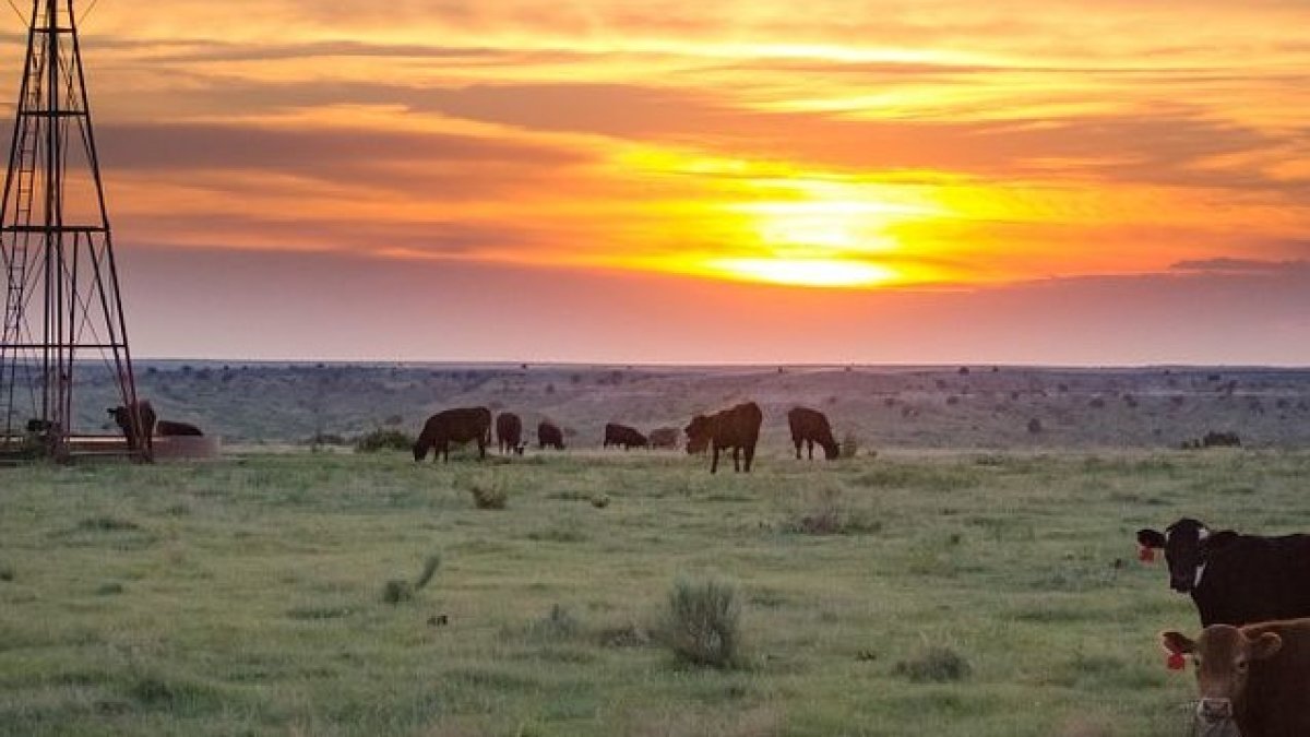 West Texas Ranch Up for Grabs Is One of State's Largest