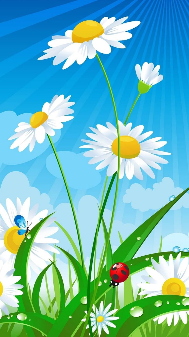 Spring Daisy and Ladybug Wallpaper