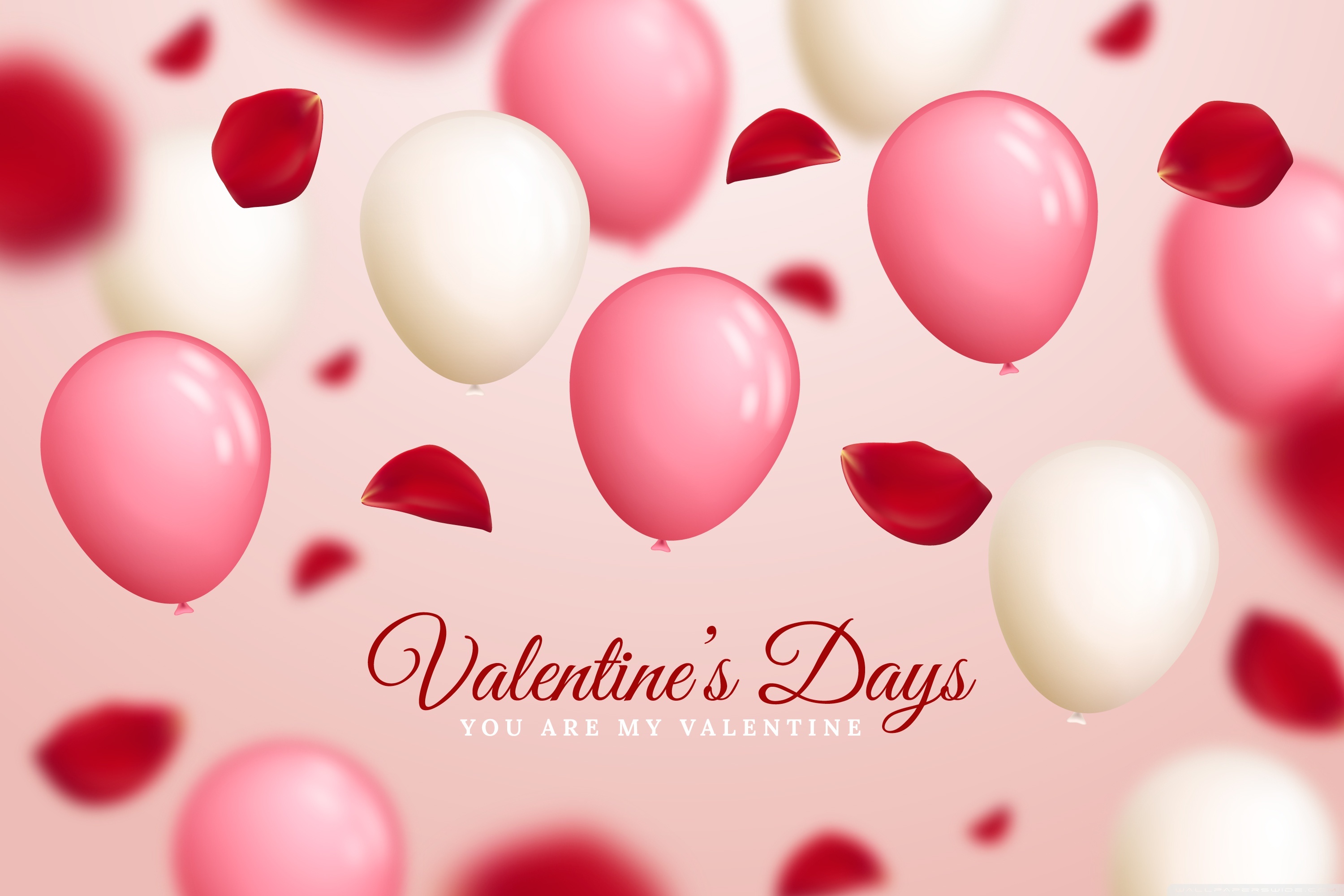 Happy Valentines Day 4K UHD Wallpaper for UltraHD Desktop and TV, Widescreen and UltraWide Display