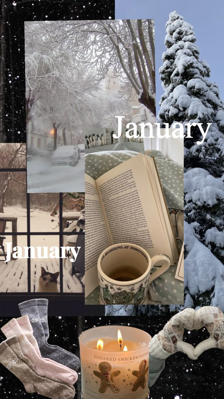 January Moodboard for Winter
