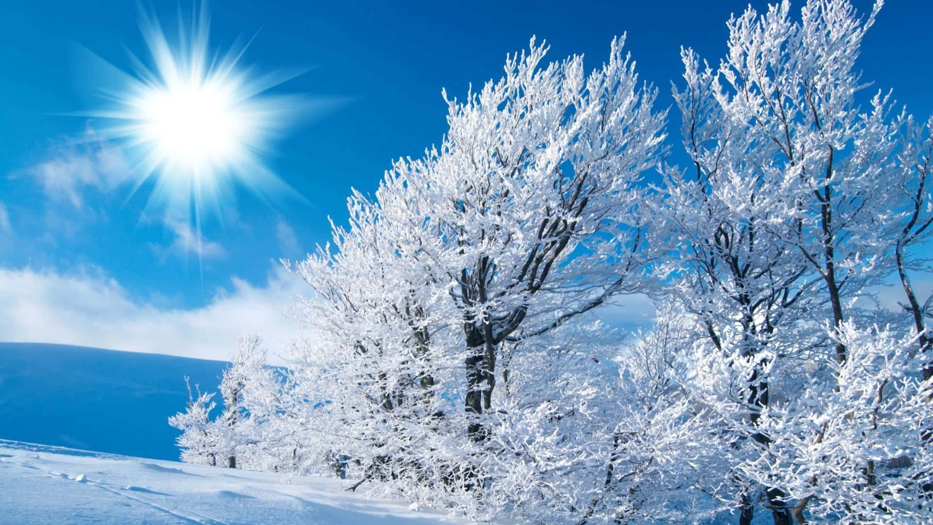 Download A magical winter landscape where art meets nature Wallpaper