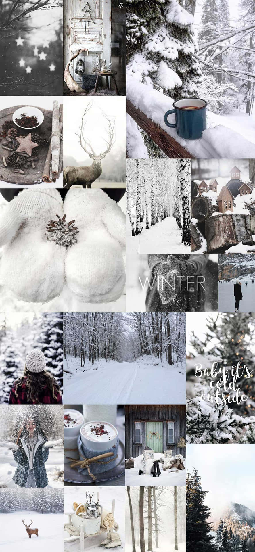 Download Winter Wonder Wallpaper