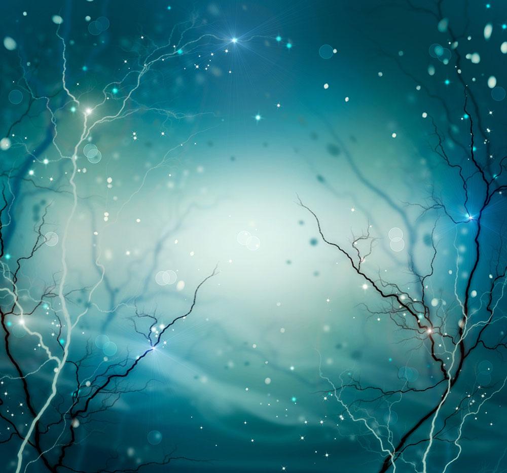 Winter Nature Abstract Wall Mural Wallpaper. Canvas Art Rocks