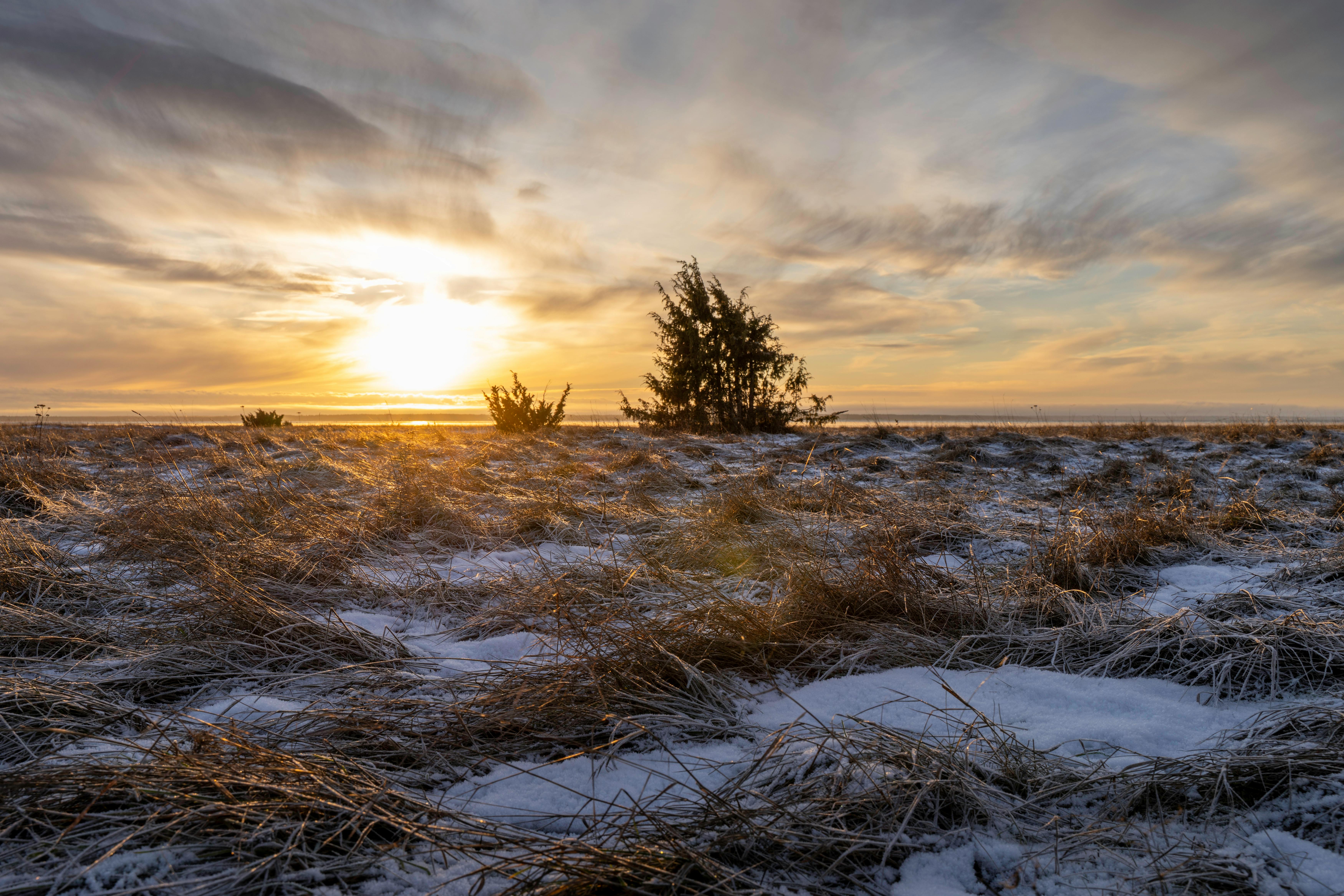 Breathtaking Winter Sunset Over A Snowy Field · Free