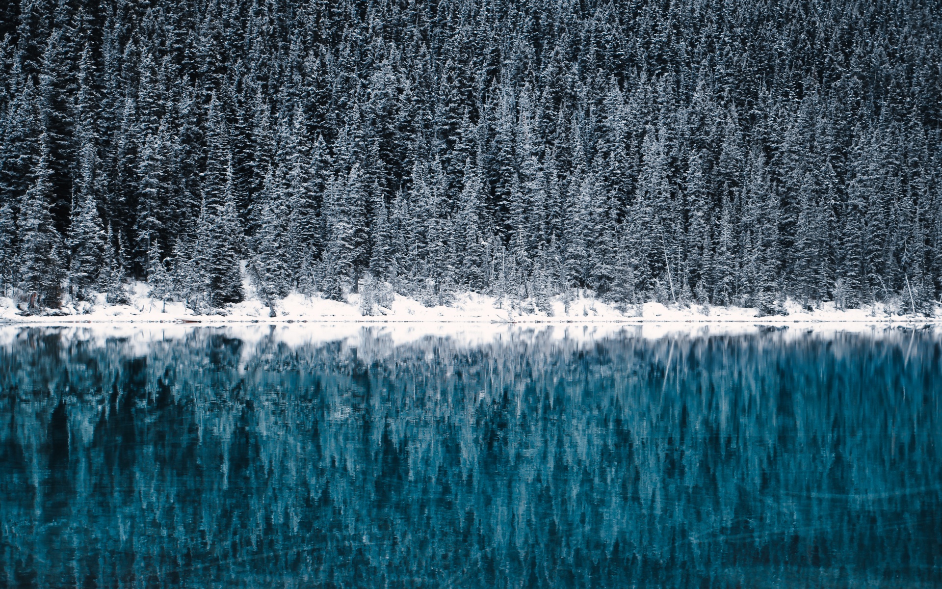 Lake Louise Wallpaper 4K, Winter, Cold, Reflections