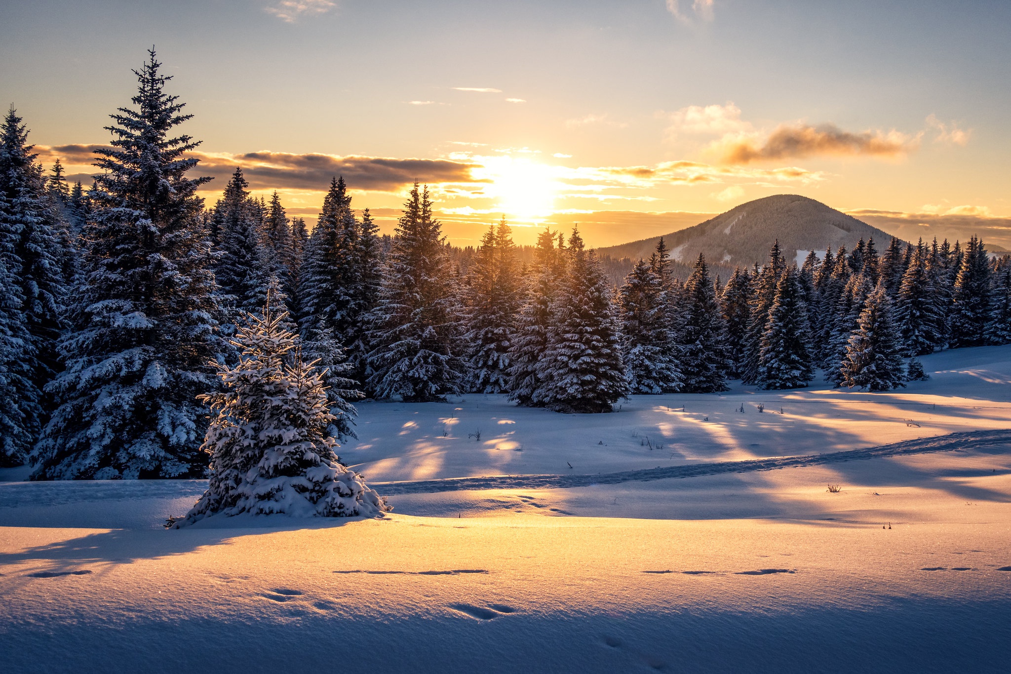 Wallpaper winter, forest, snow, sunset, mountains, Austria, ate, the snow for mobile and desktop, section пейзажи, resolution 2048x1365