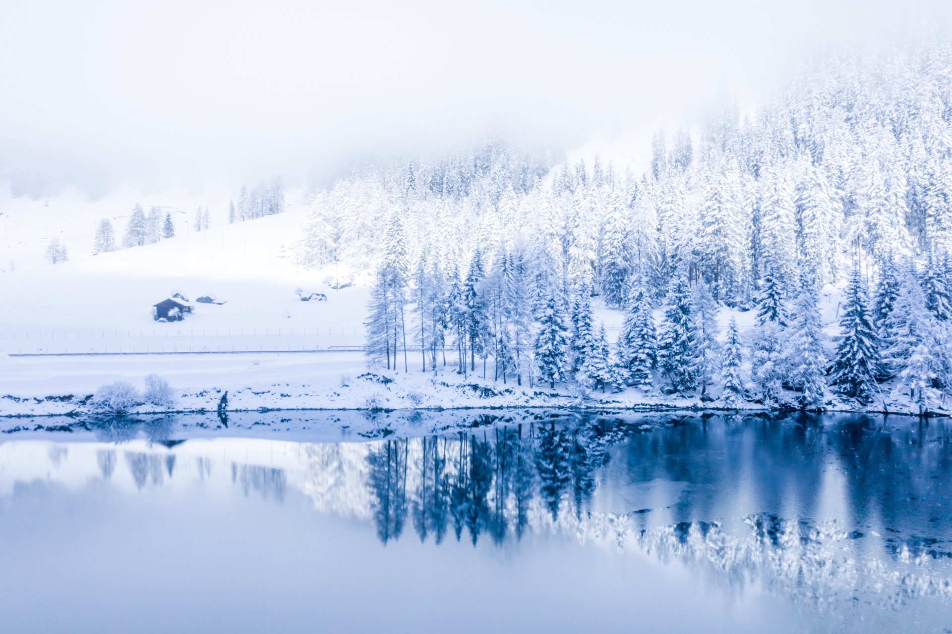Winter Serenity: HD Snowy Nature Reflection Wallpaper