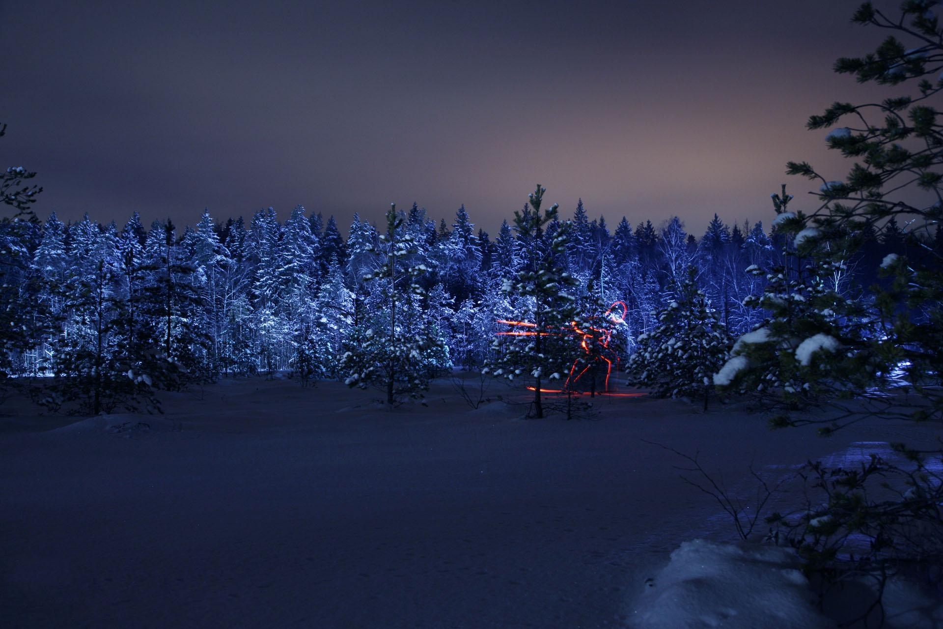Wallpaper Pine Trees Covered With Snow During Night Time, Background Free Image