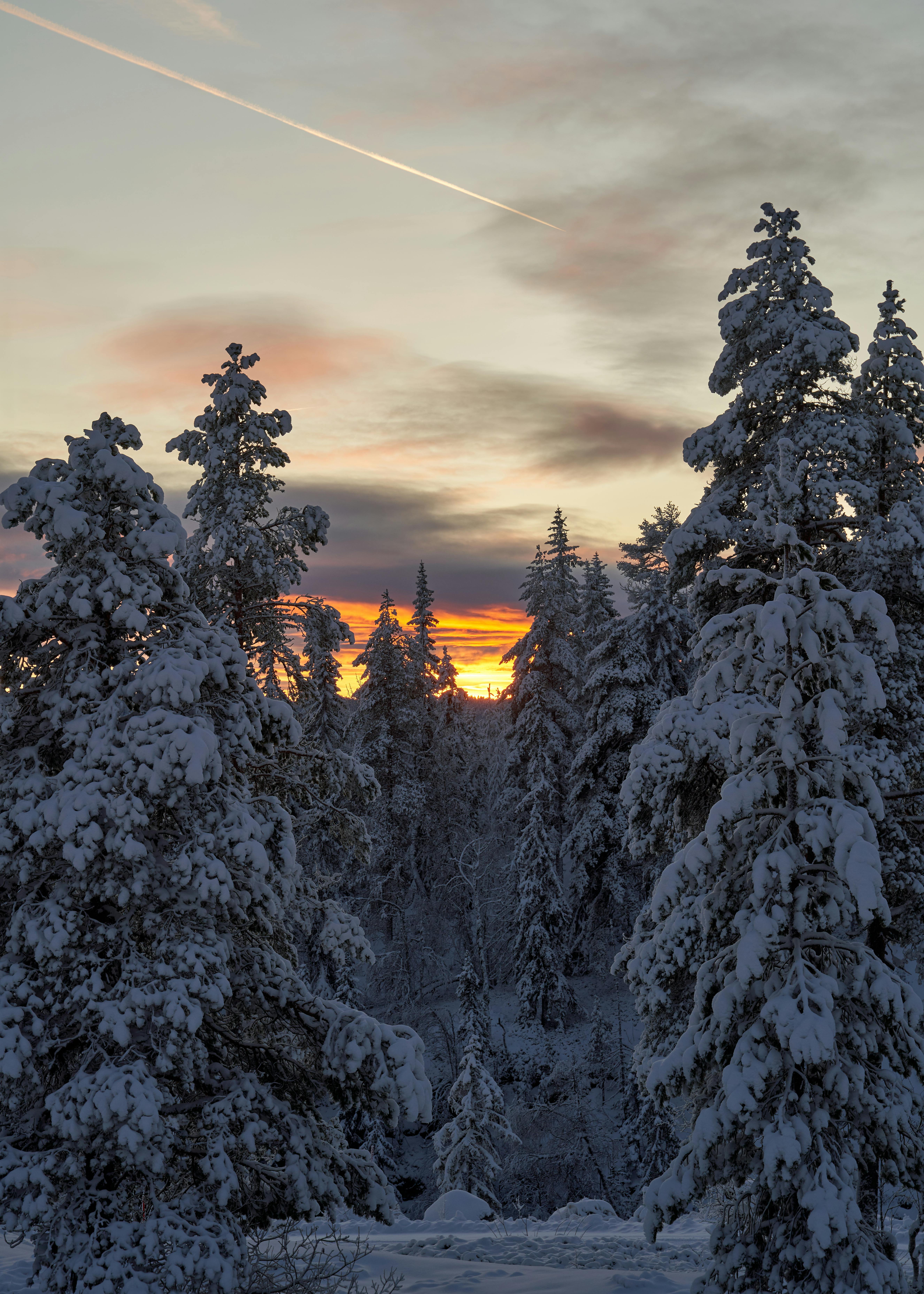Tranquil Sunset Over Snowy Norwegian Forest · Free