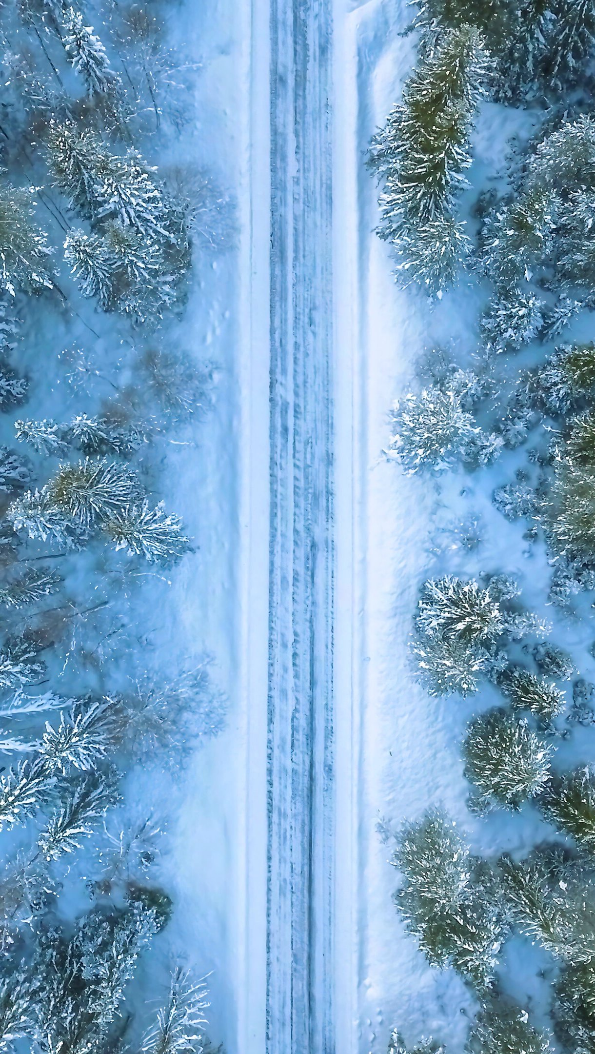 Aerial view of forest in winter Wallpaper 4k for iPhone and Mobile Phone