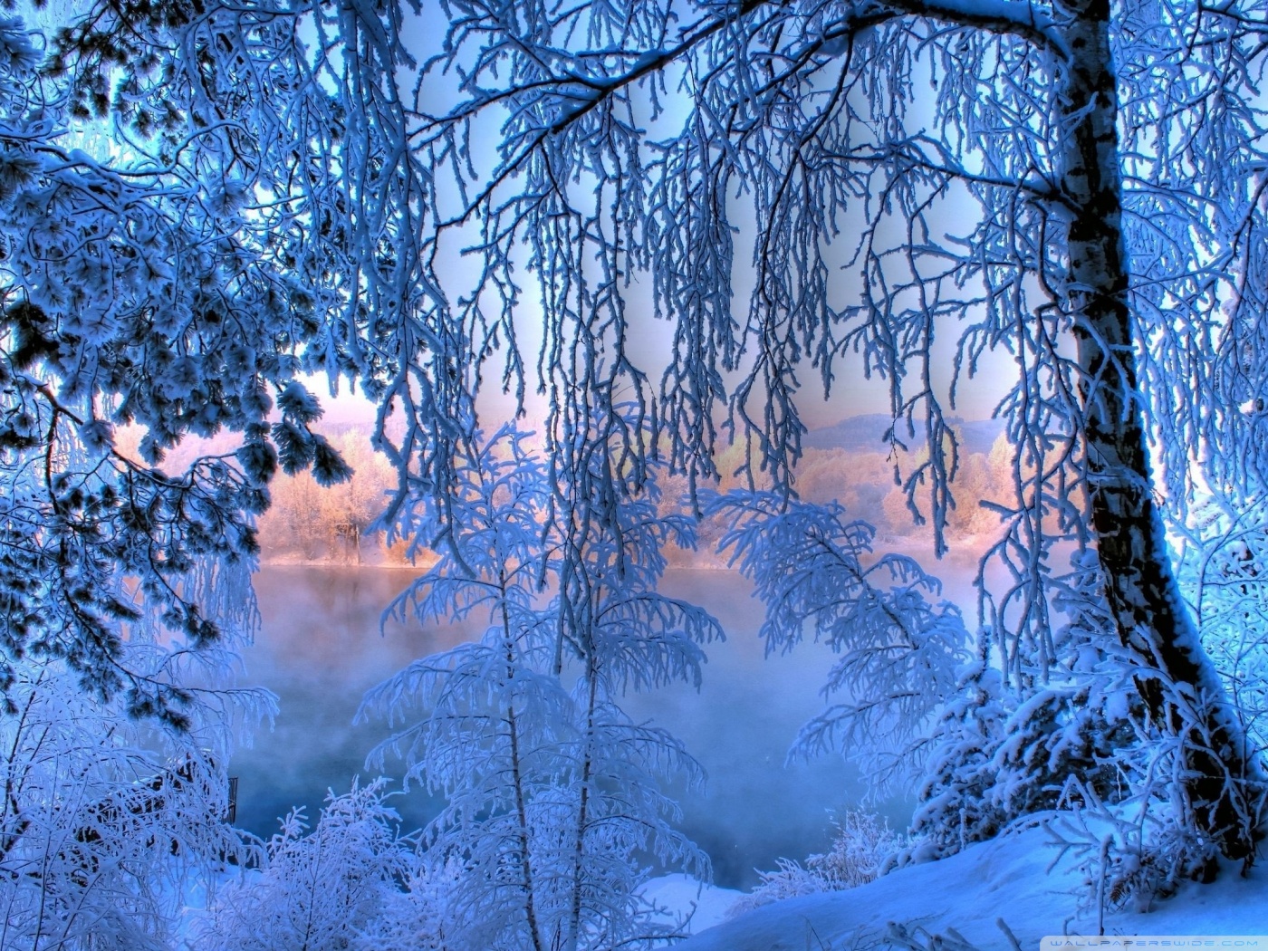 Winter, Snow, Lake, Trees 4K UHD Wallpaper for UltraHD Desktop and TV, Smartphone and Tablet Devices