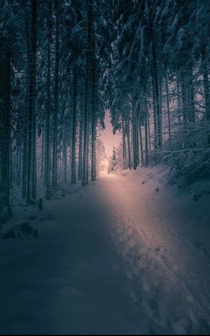 Winter Wonder Lands. Winter scenery, Winter landscape, Winter picture