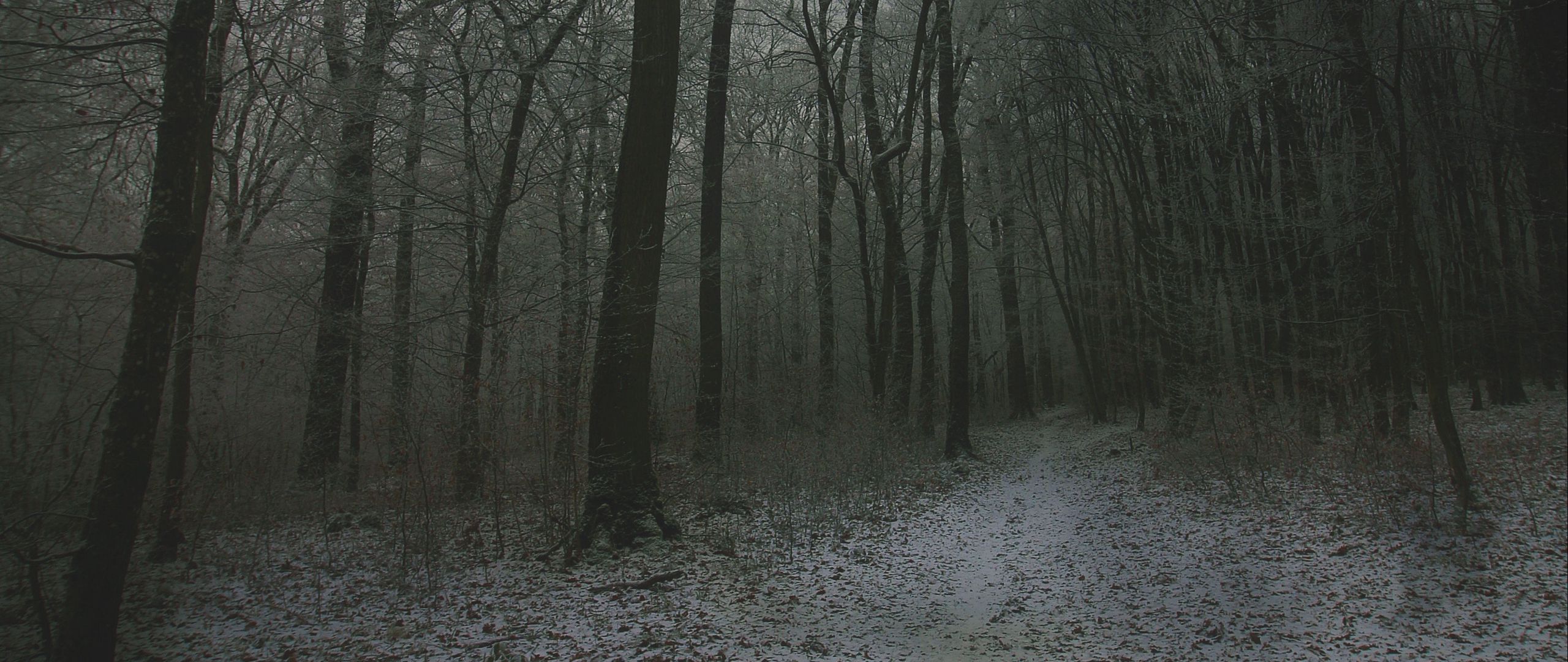 Download wallpaper 2560x1080 fog, forest, path, snow, autumn, winter dual wide 1080p HD background