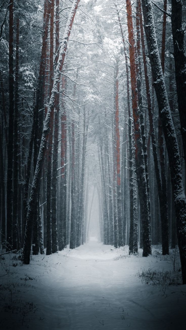 Paisagens. ×. Wallpaper, Aesthetic design, Nature