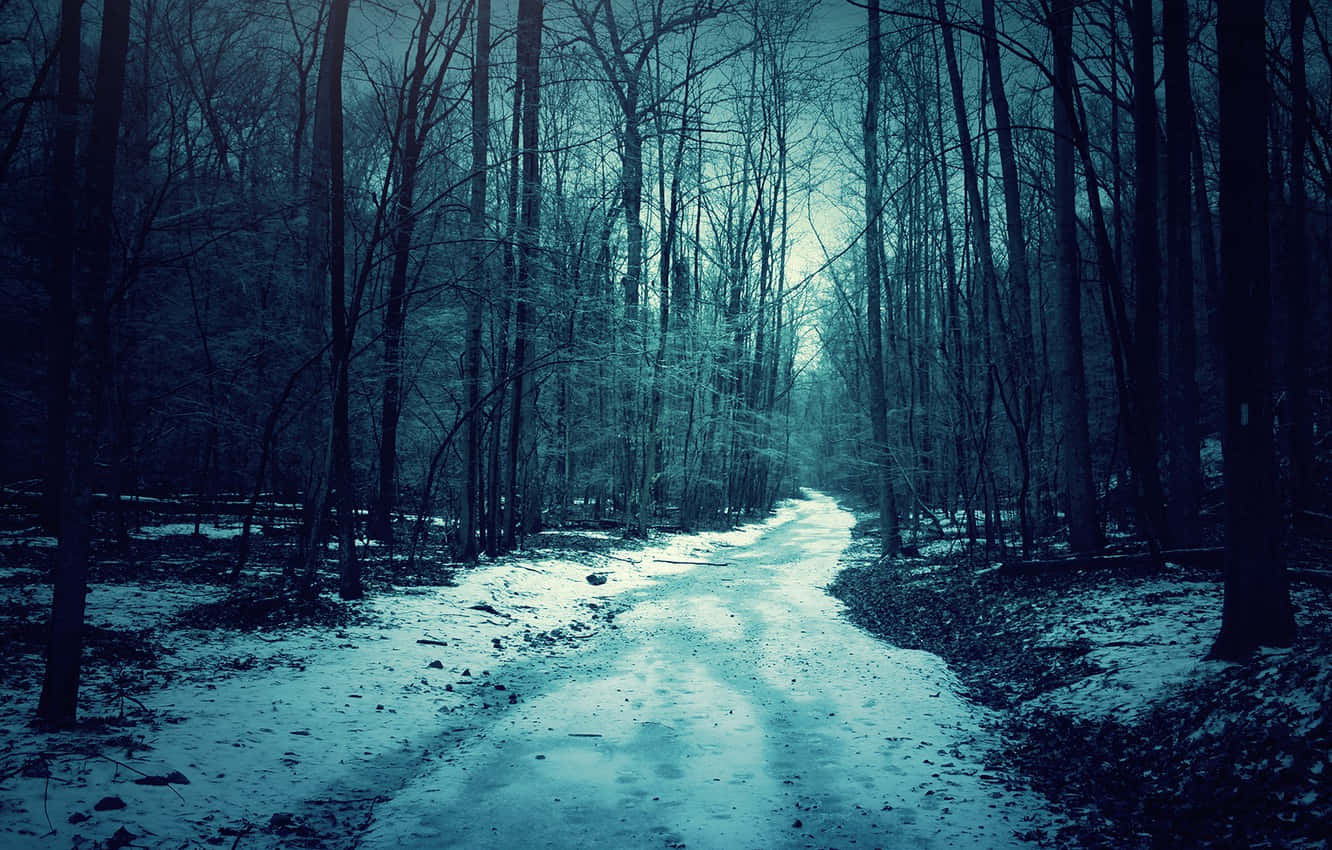 Download A Snowy Path In The Woods With A Dark Sky Wallpaper