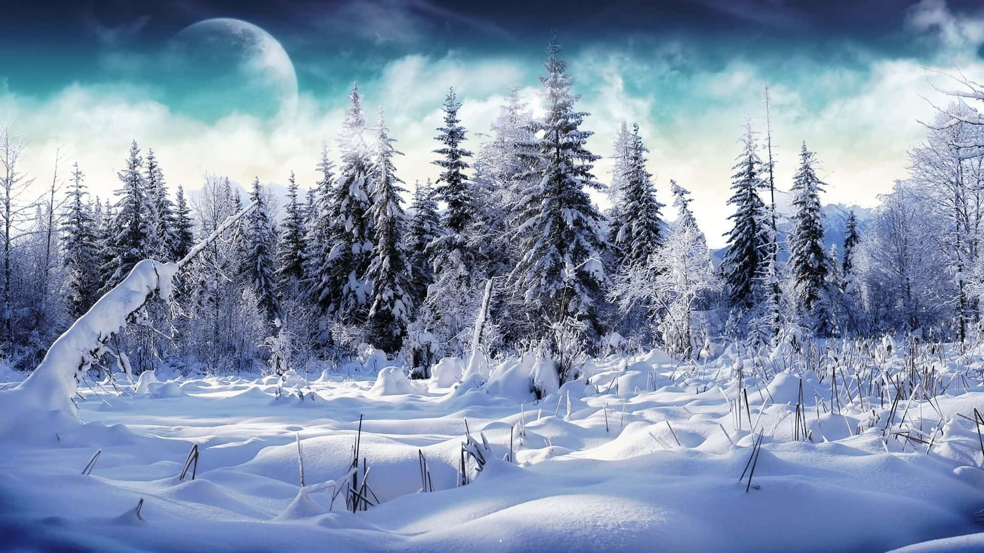 Download Snow plummeting down in a peaceful winter landscape Wallpaper