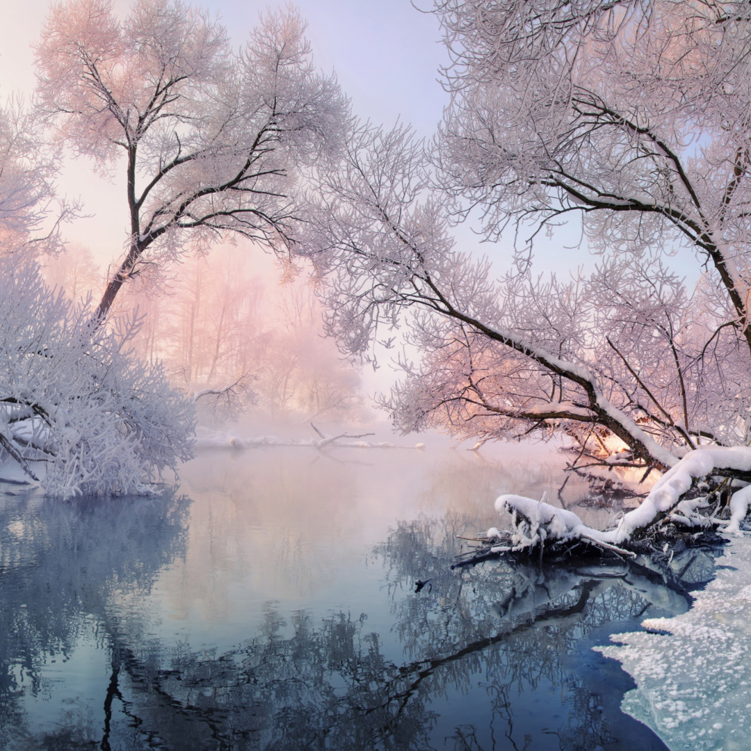 And, breathe. The first month of the year is well underway and winter is still all around us. Embrace the tranquillity of #winter in your next design with these calming FREE winter #