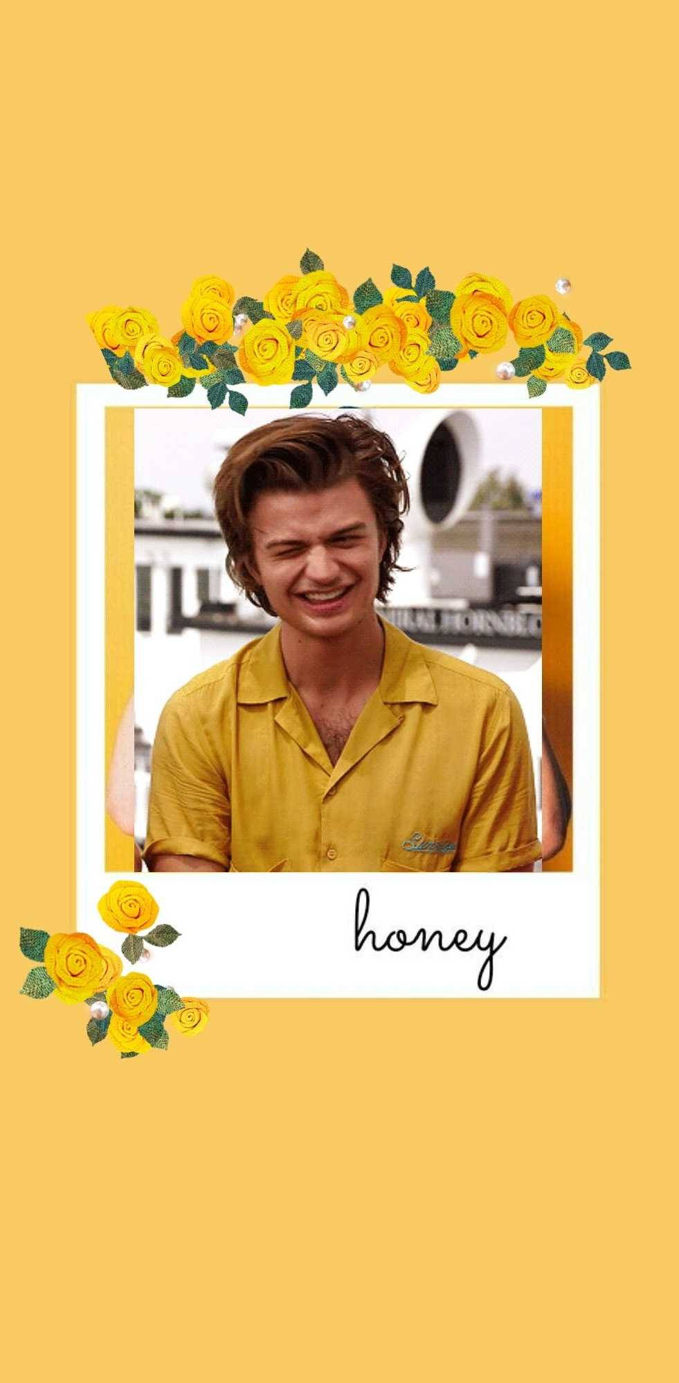 Download Stranger Things Adorable Steve Harrington Wallpaper