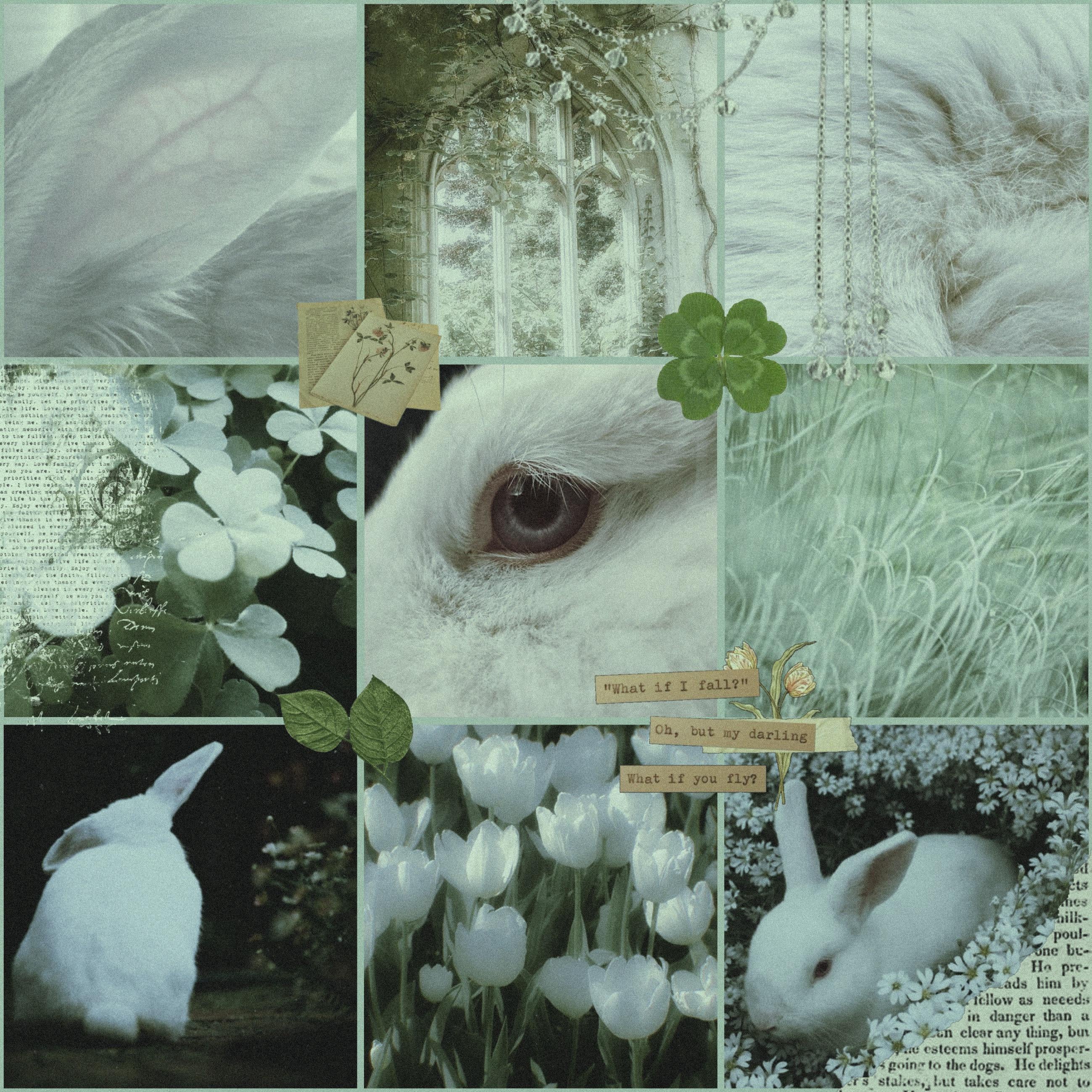 Rabbitkin moodboard I created!!